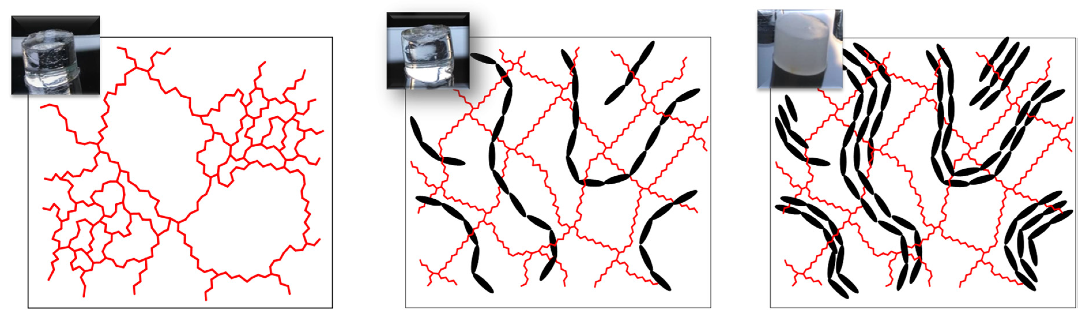 Gels 09 00926 sch003