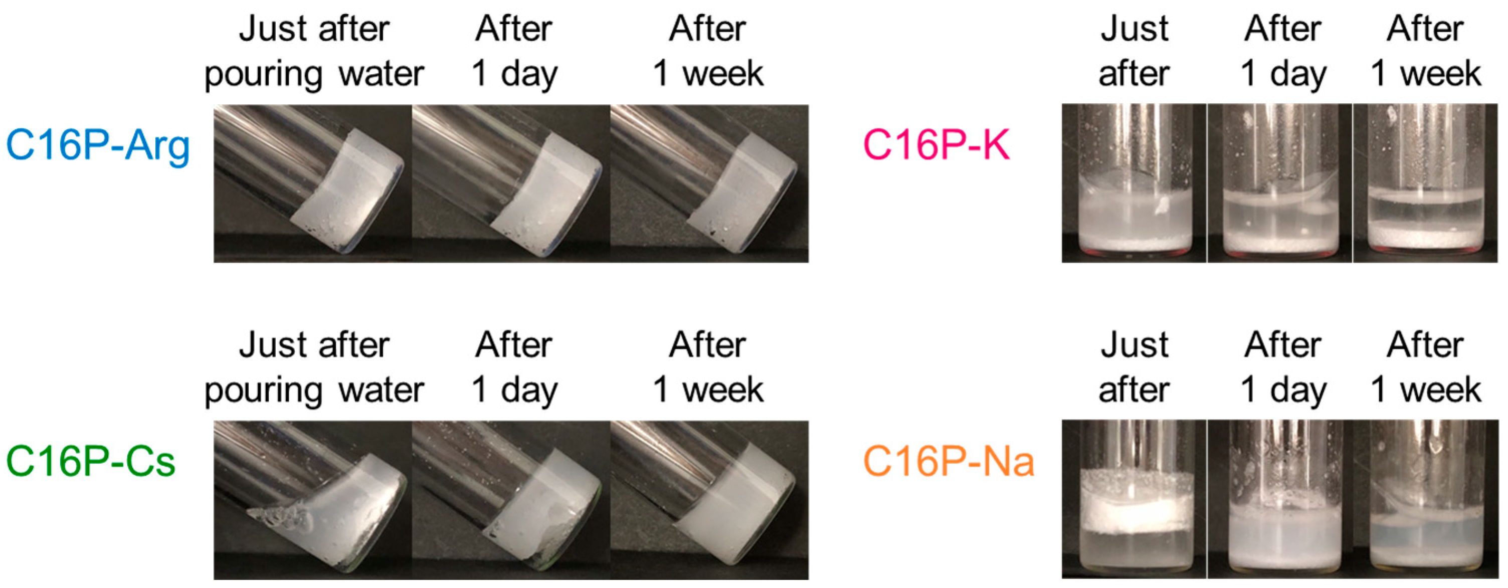 Gels 09 00928 g003 Gels 09 00928 g003