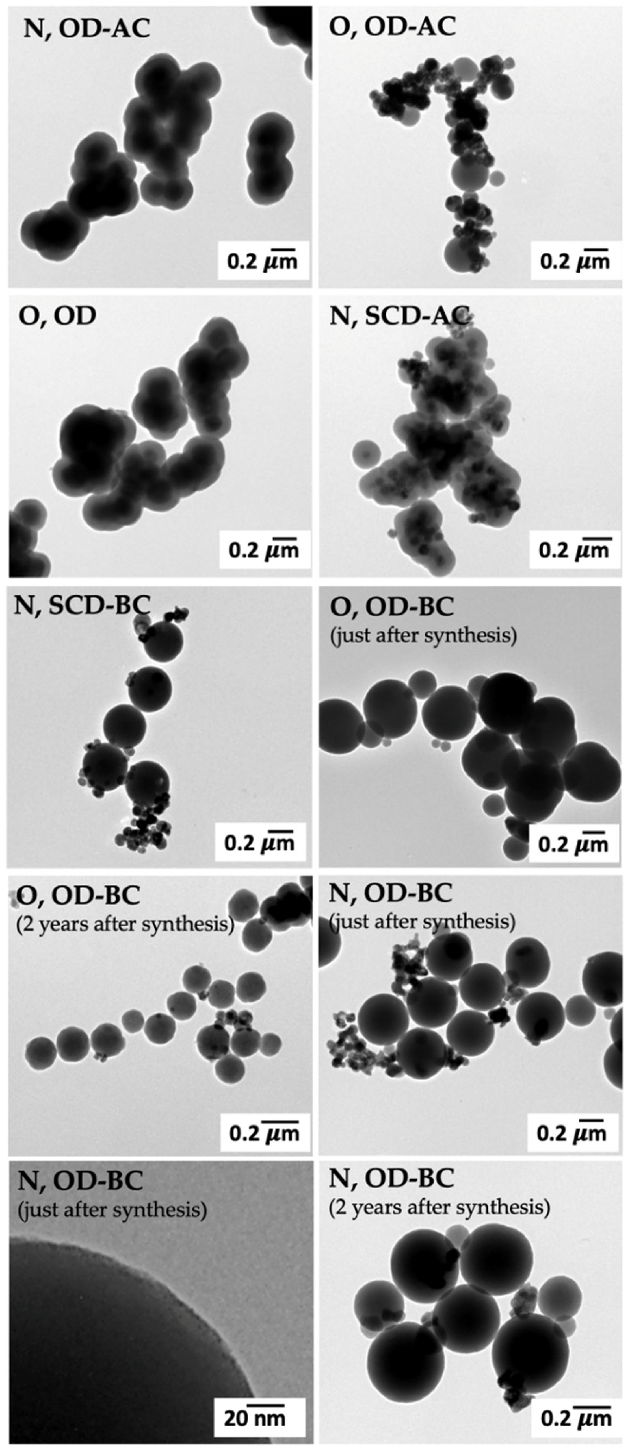 Gels 10 00013 g001
