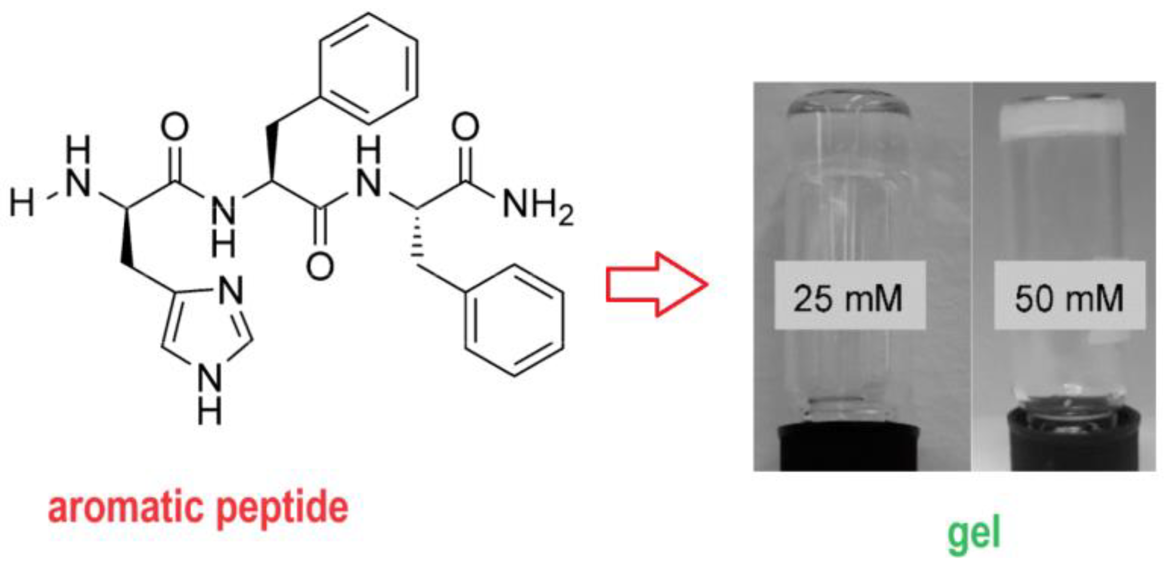 Gels 10 00016 sch001