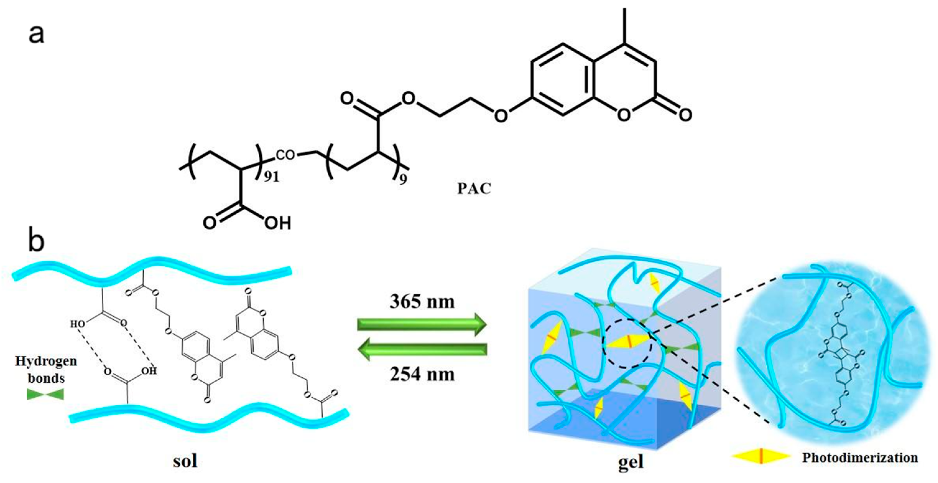Gels Free FullText A SolGel Transition and SelfHealing Hydrogel
