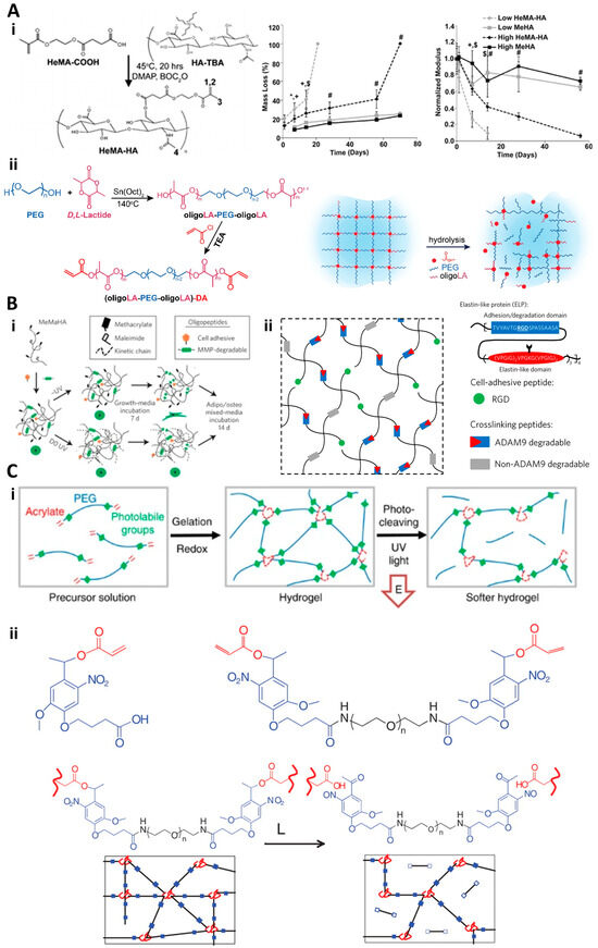 ホープ Structural Virology: The Key Determinants in Development of