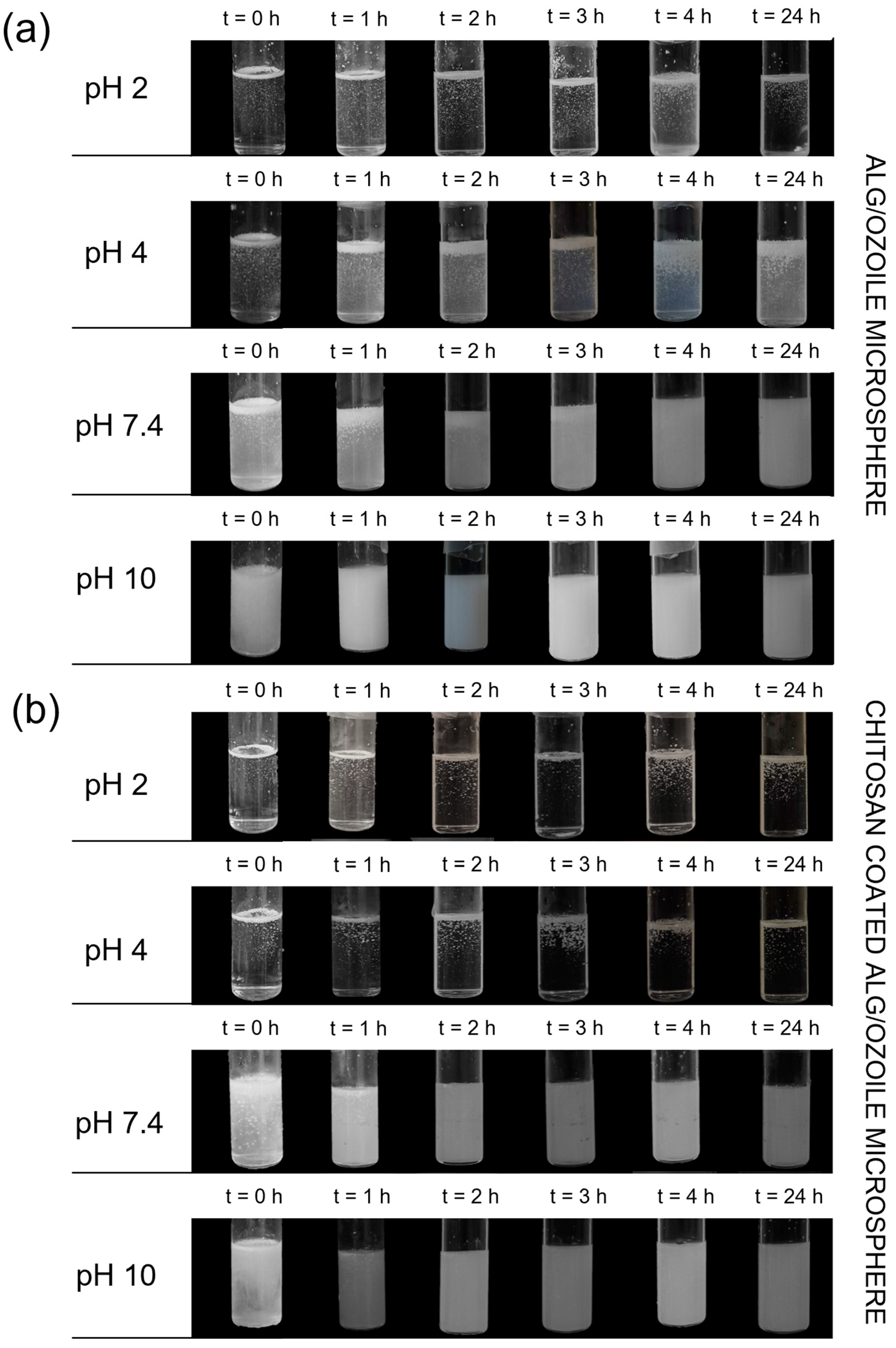 Gels 10 00052 g008 Gels 10 00052 g008