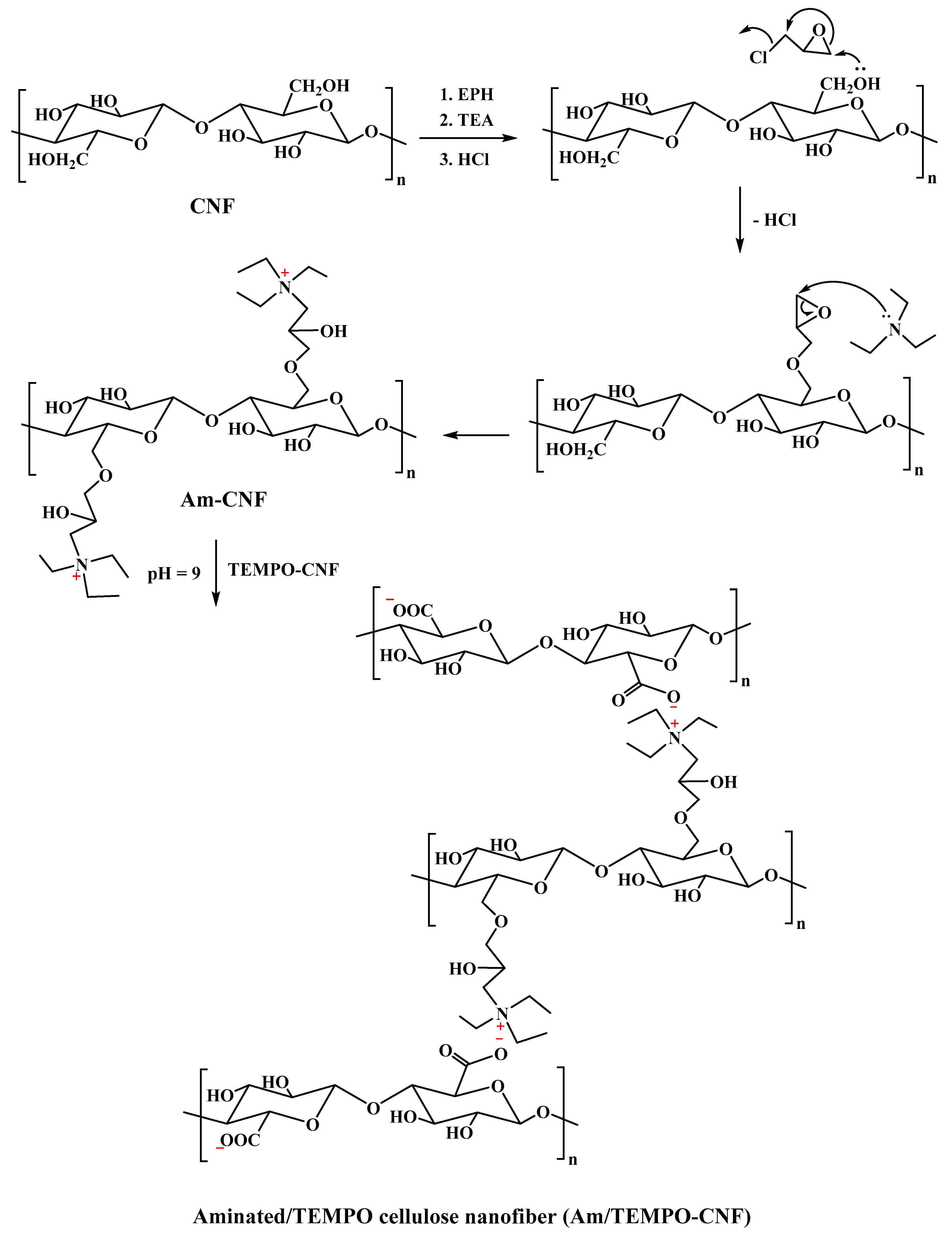 Gels 10 00077 sch001