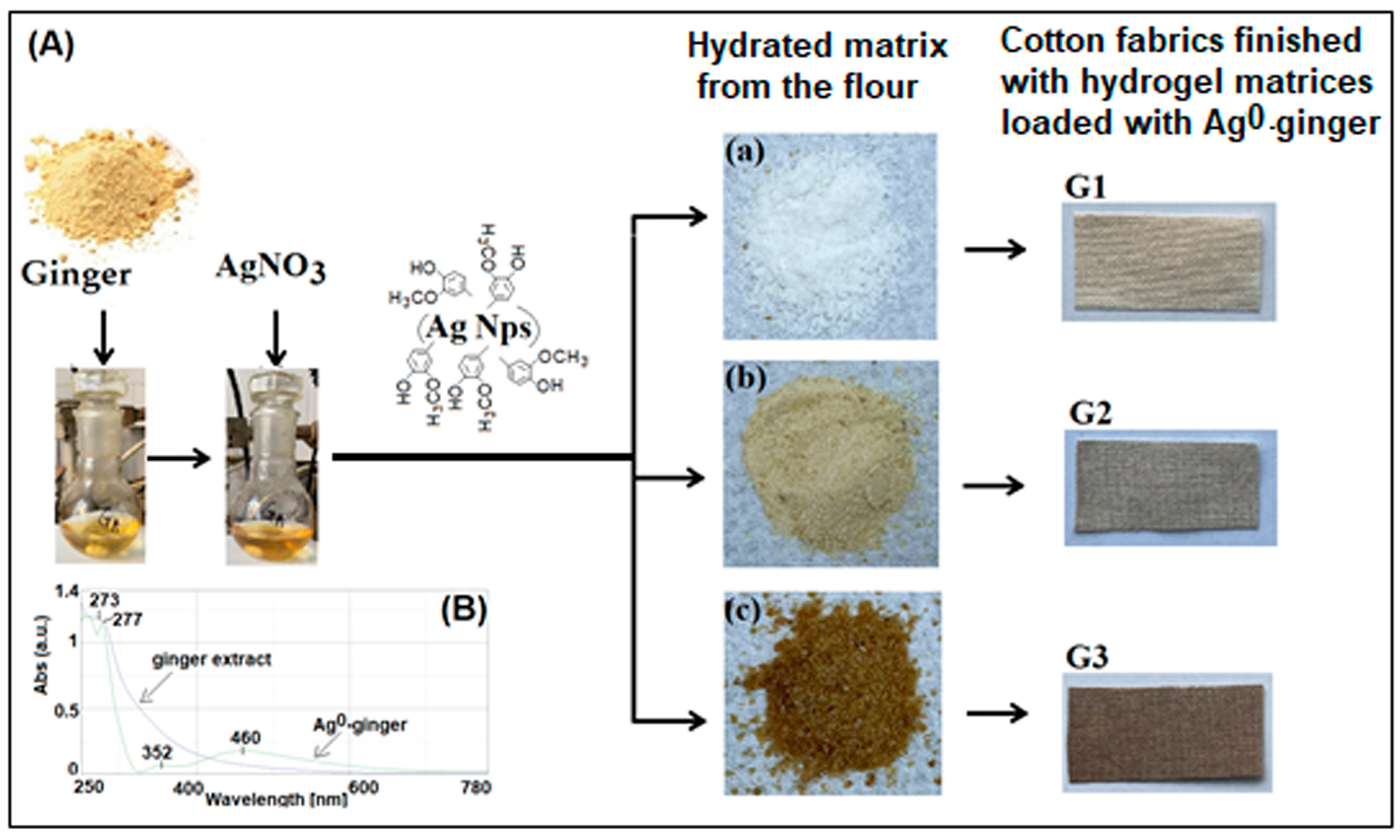Gels 10 00106 sch001