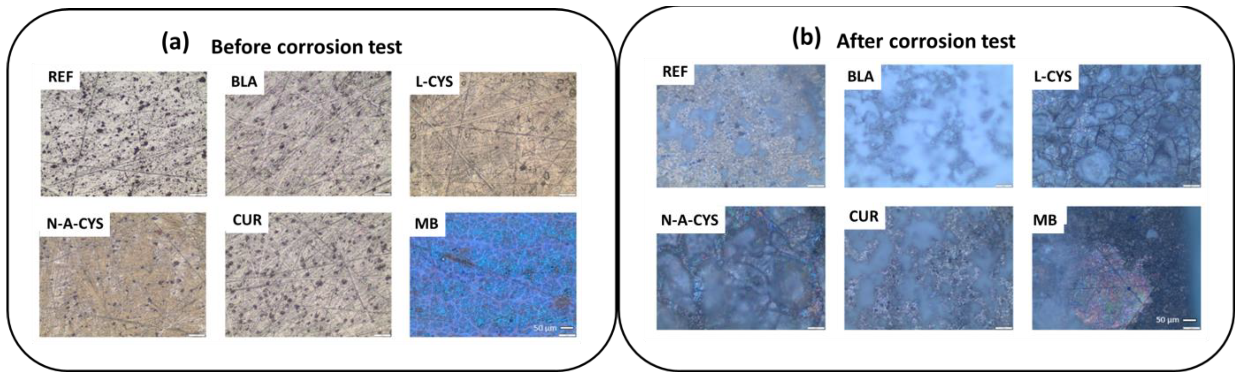 Gels 10 00168 g004 Gels 10 00168 g004