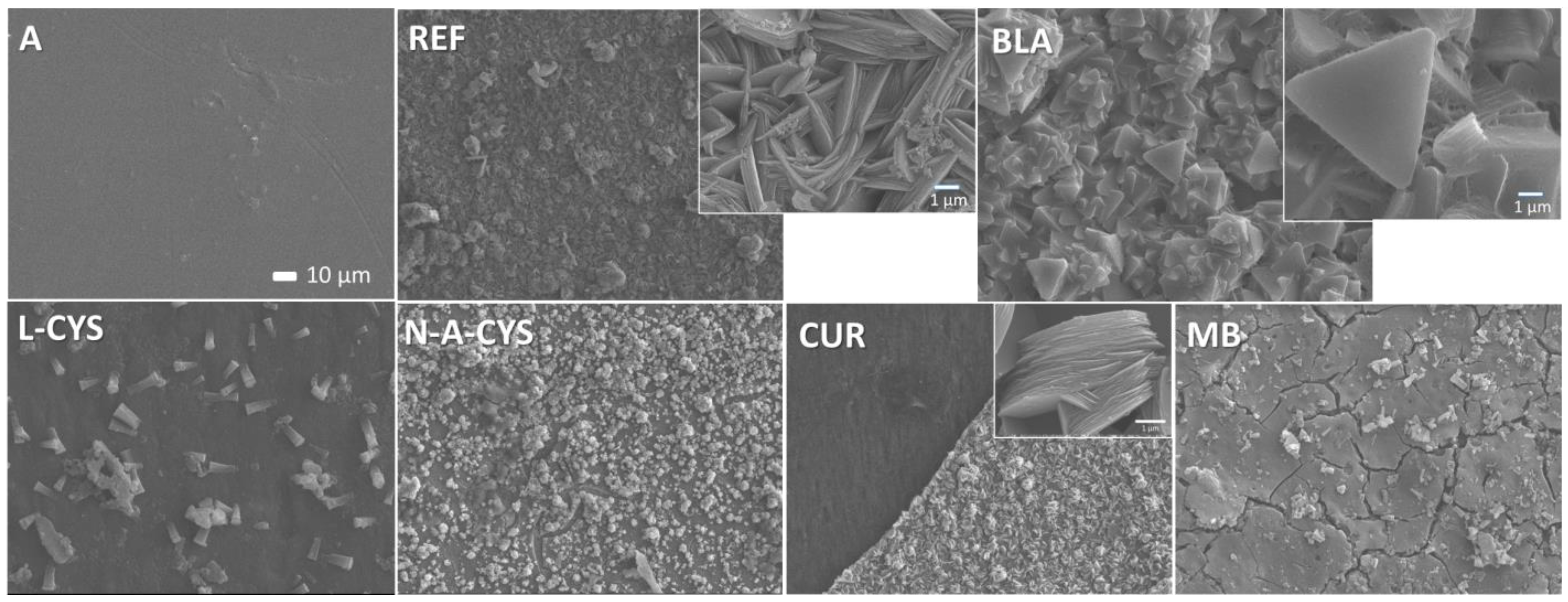 Gels 10 00168 g006 Gels 10 00168 g006