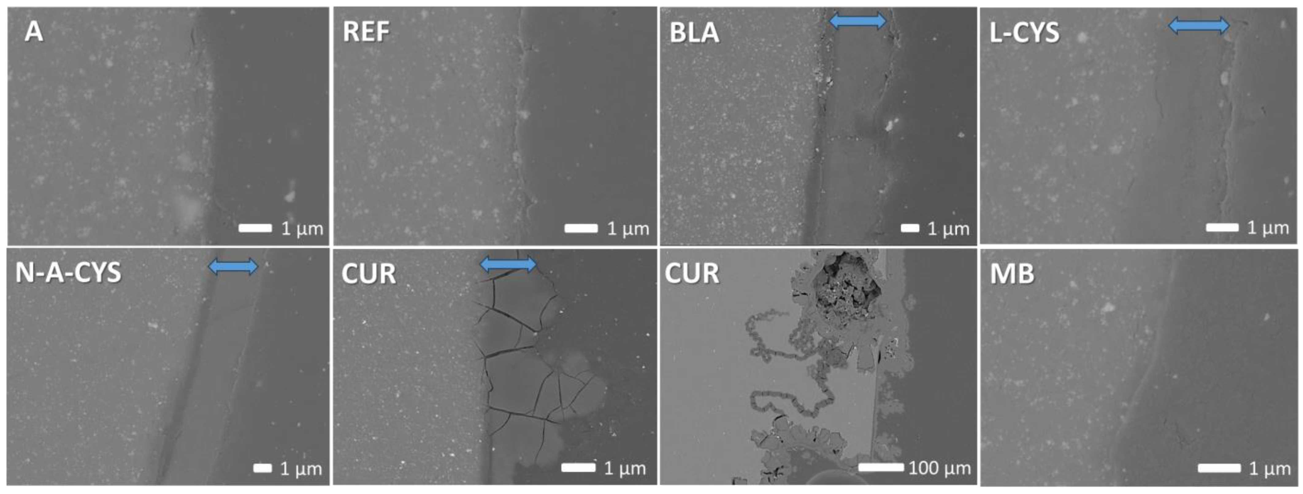 Gels 10 00168 g007 Gels 10 00168 g007