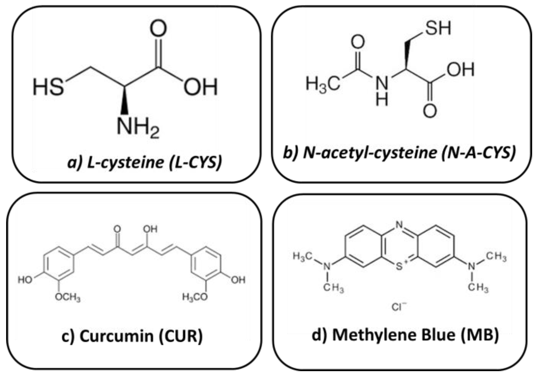 Gels 10 00168 g010 Gels 10 00168 g010