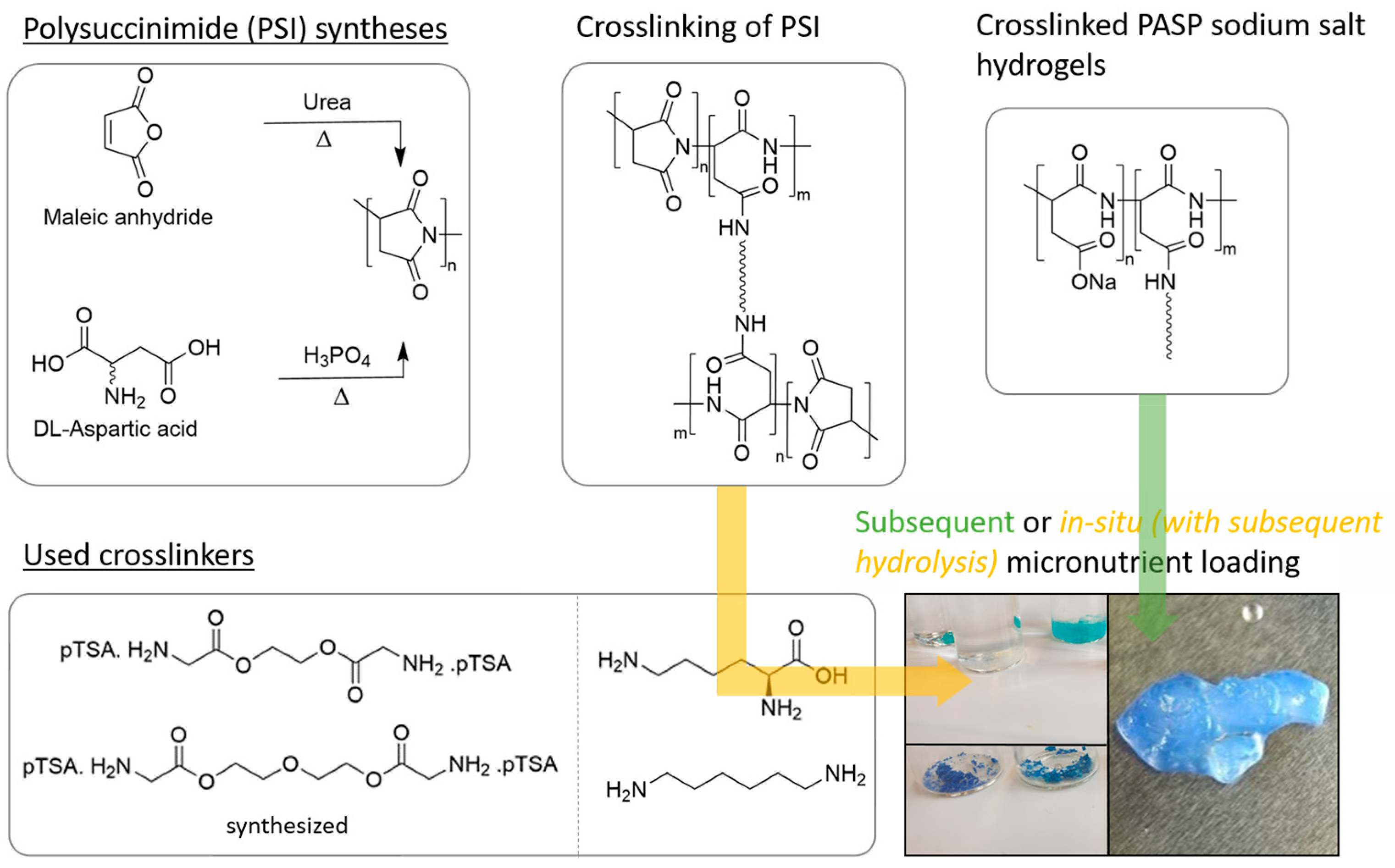 Gels 10 00170 sch001