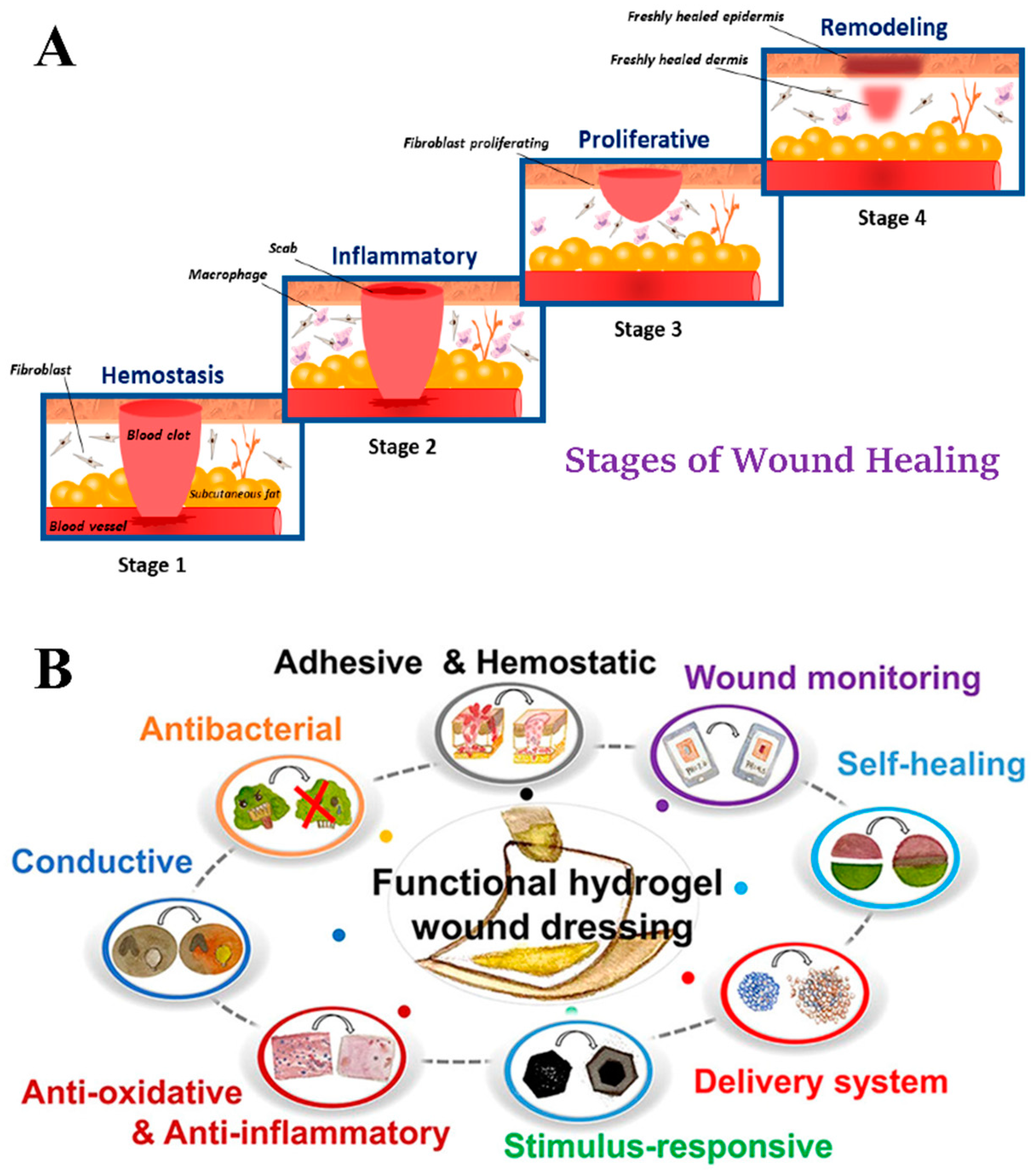 Recent Advances of Chitosan-Based Hydrogels for Skin-Wound