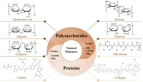 Hydrogels in Cutaneous Wound Healing: Insights into