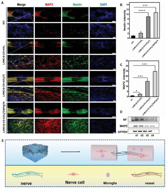 Injectable Hydrogels for Nervous Tissue Repair—A Brief Review