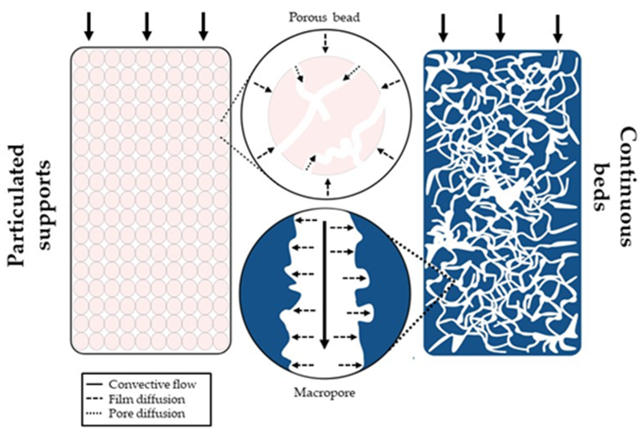Gels 10 00198 g002 Gels 10 00198 g002