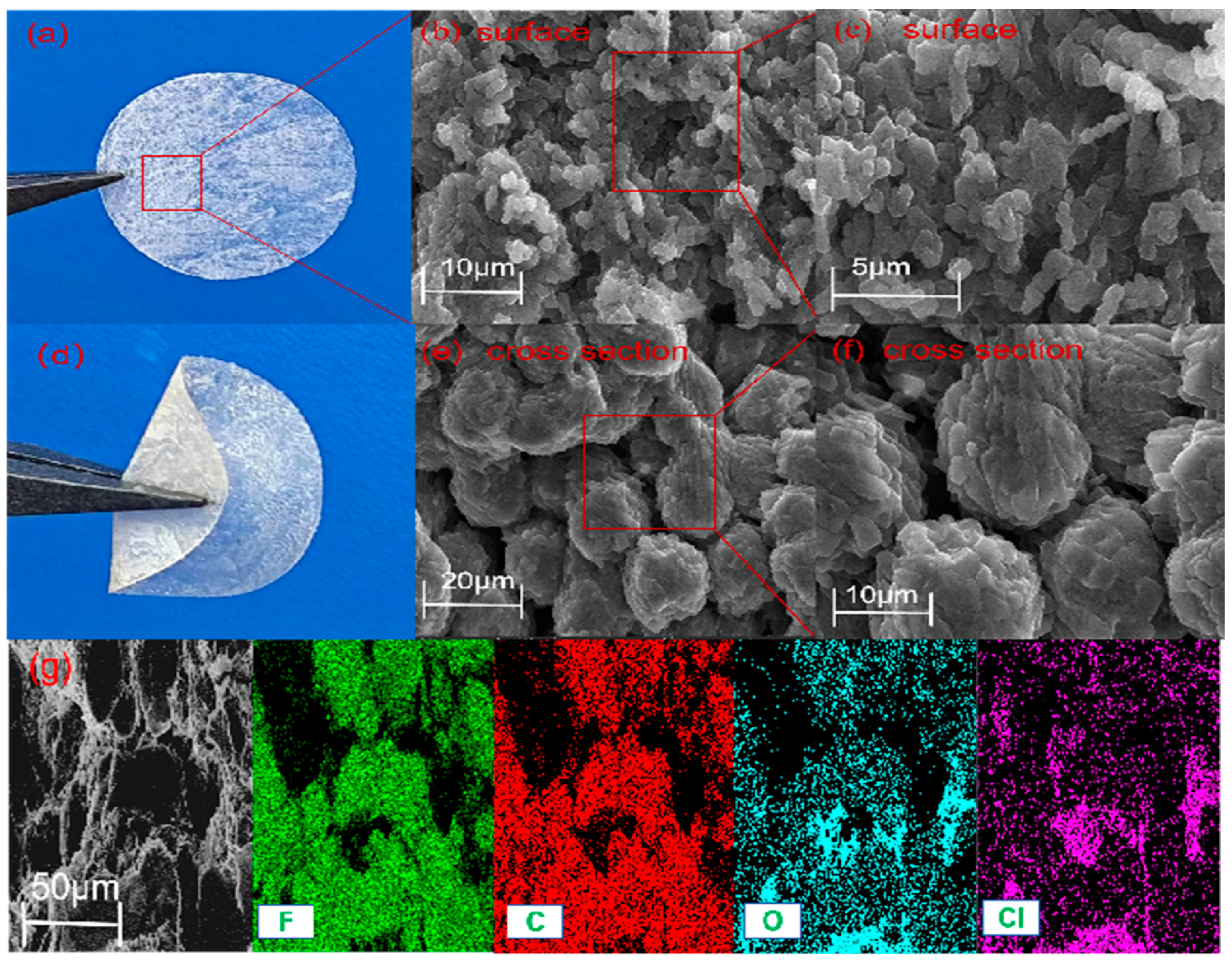Gels 10 00199 g001