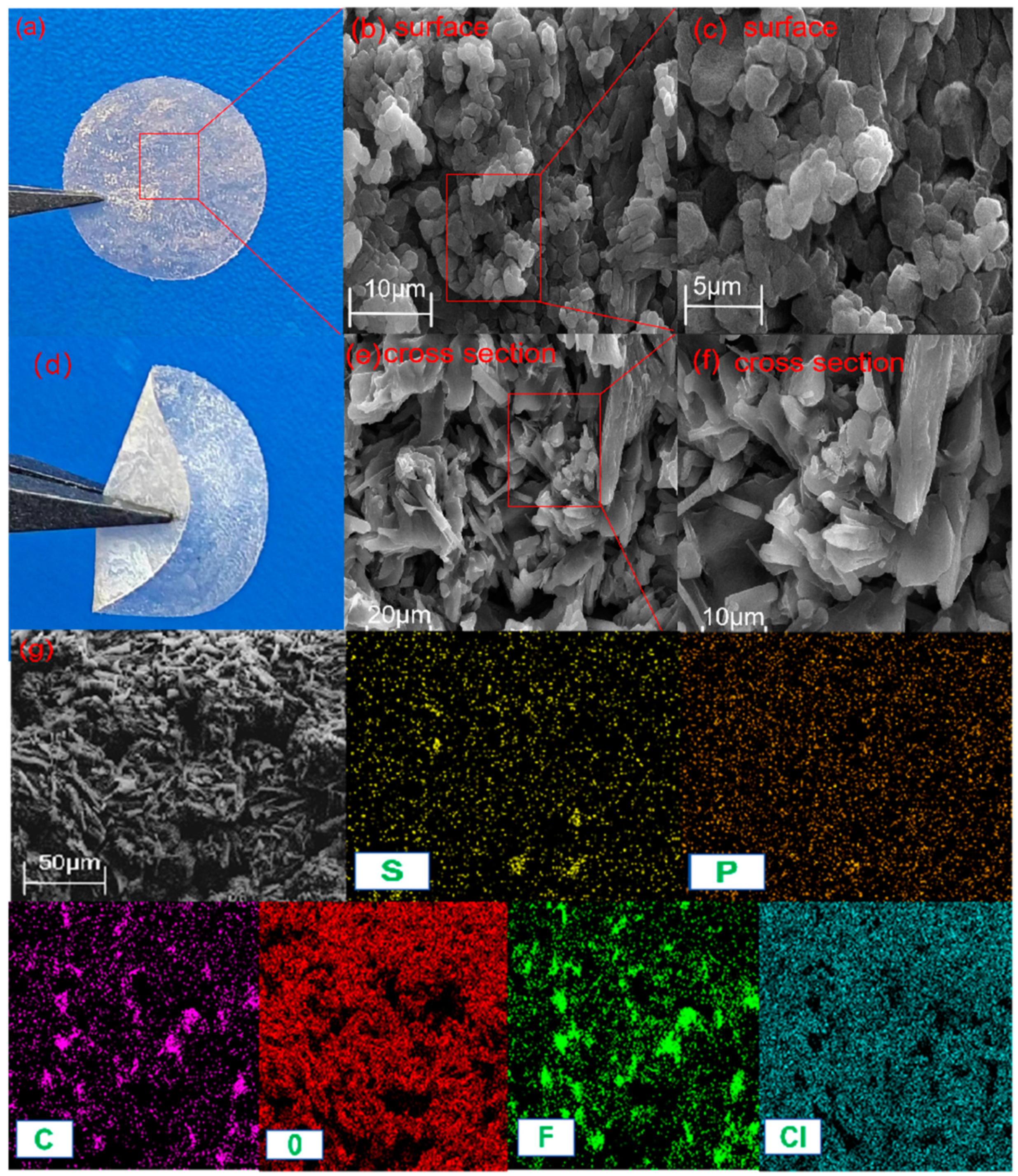 Gels 10 00199 g002