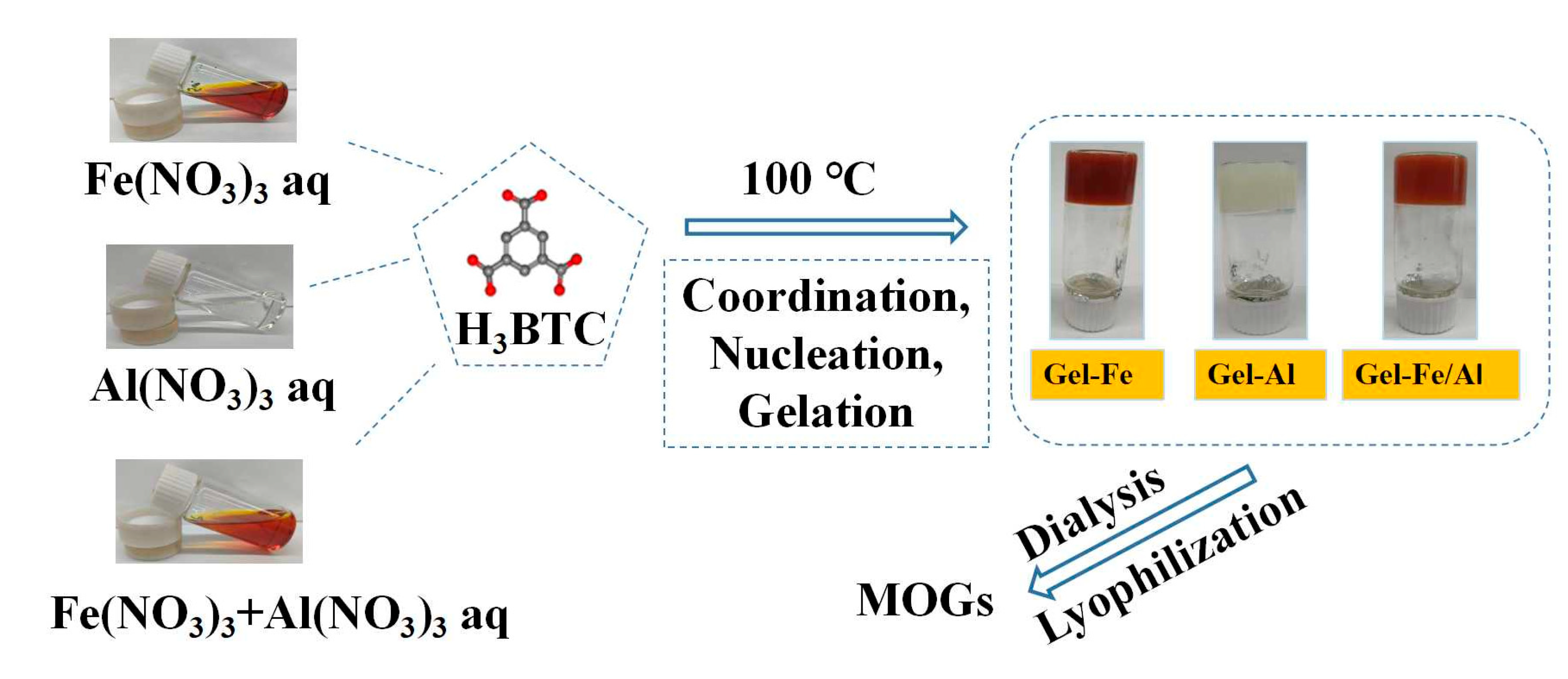 Gels 10 00208 sch001