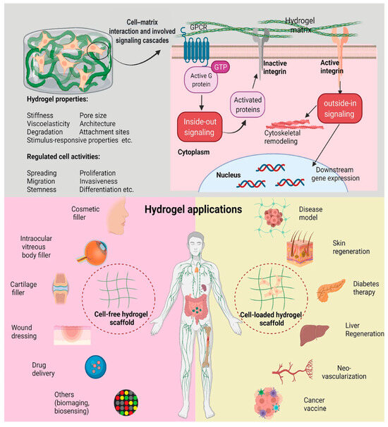 Evolution of Hybrid Hydrogels: Next-Generation Biomaterials