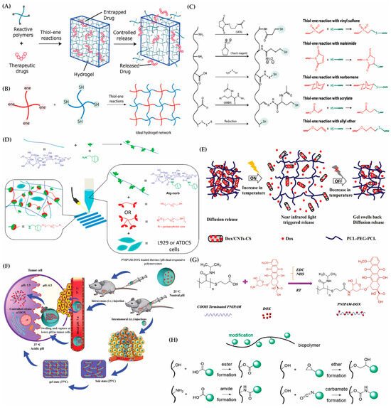 Evolution of Hybrid Hydrogels: Next-Generation Biomaterials