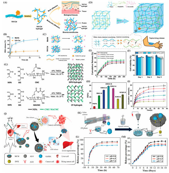 Evolution of Hybrid Hydrogels: Next-Generation Biomaterials