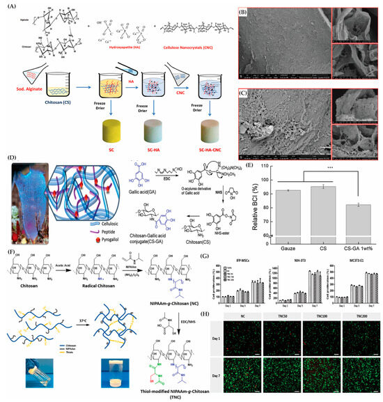 Evolution of Hybrid Hydrogels: Next-Generation Biomaterials