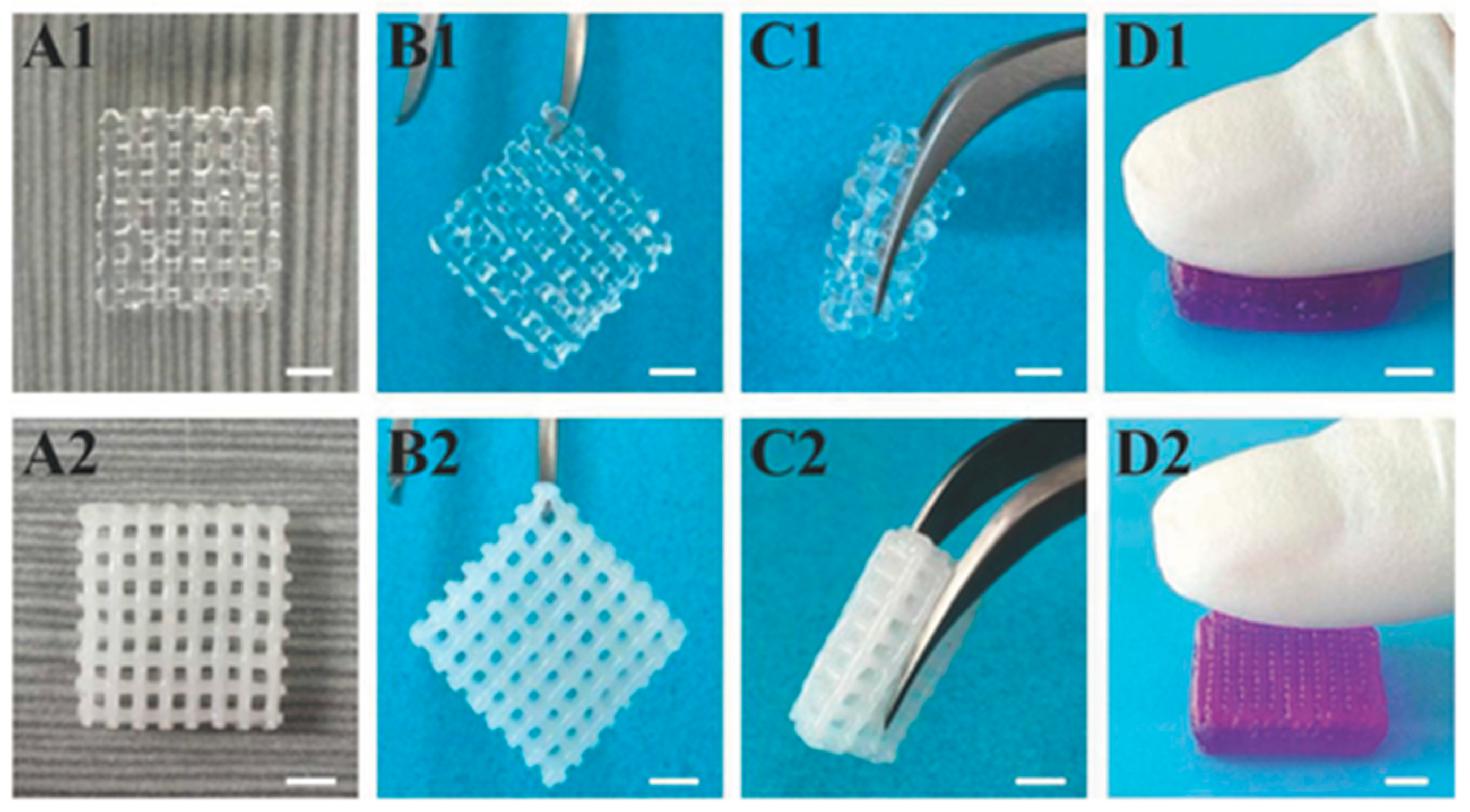 Three-Dimensional Printing Strategies for Enhanced Hydrogel