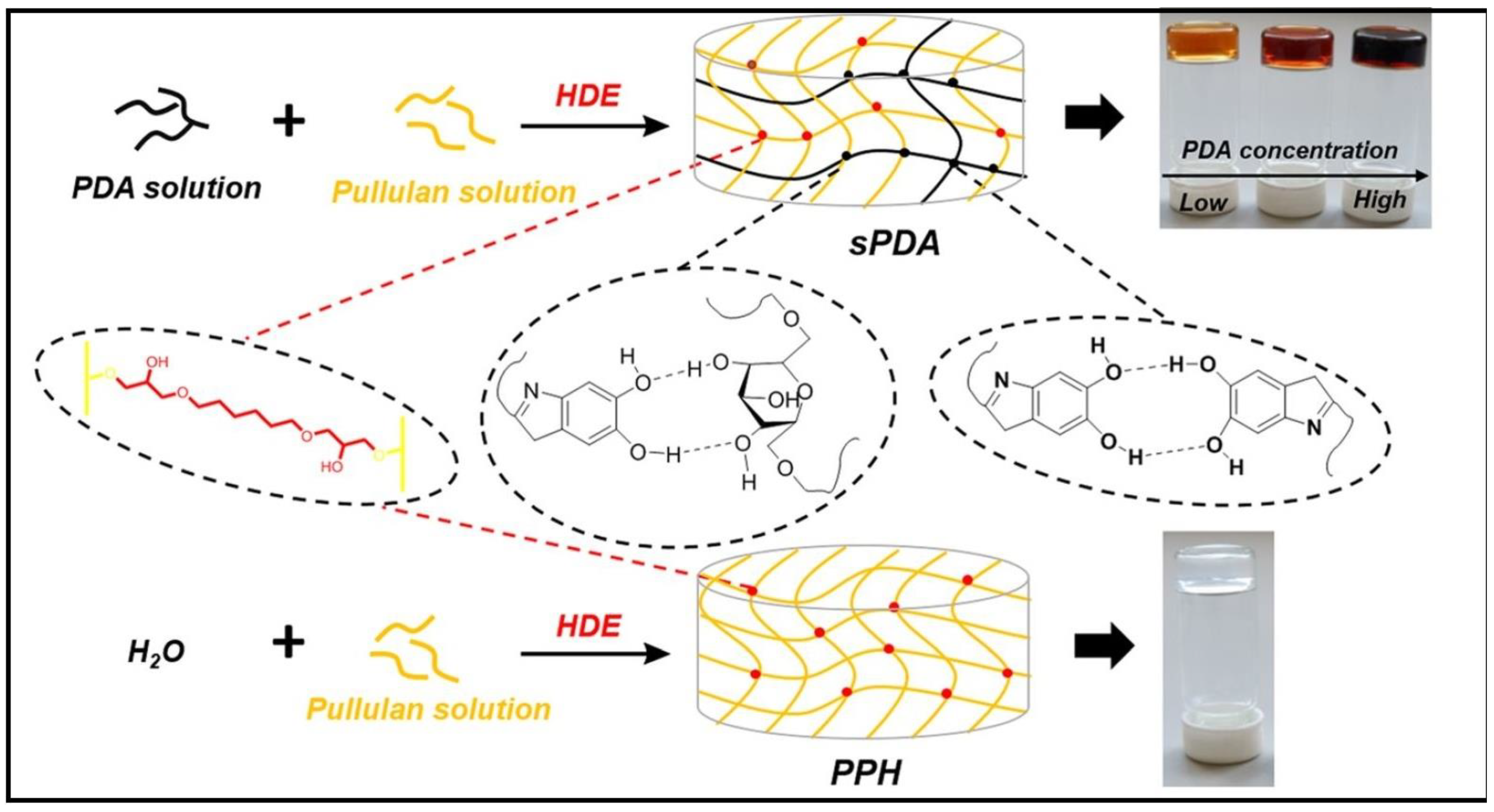 Gels 10 00243 g011 Gels 10 00243 g011