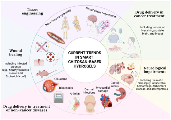 Biomedical Trends in Stimuli-Responsive Hydrogels with Emphasis on  Chitosan-Based Formulations