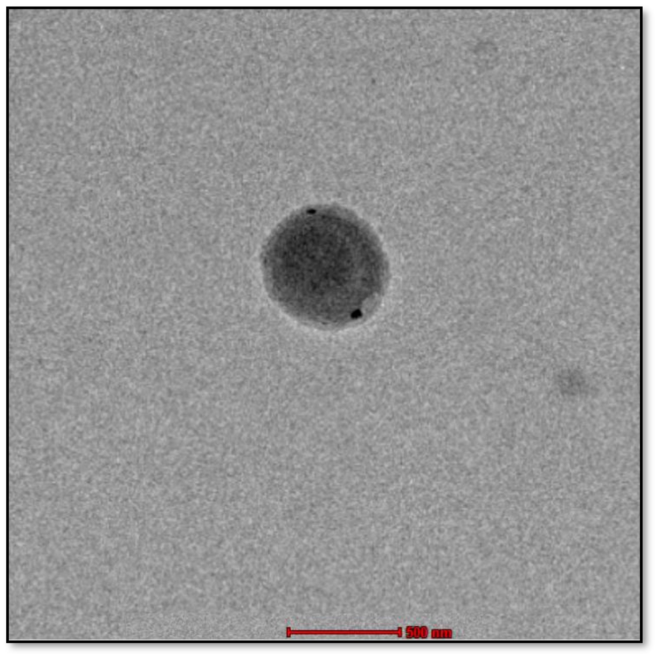 Gels 10 00303 g003 Gels 10 00303 g003