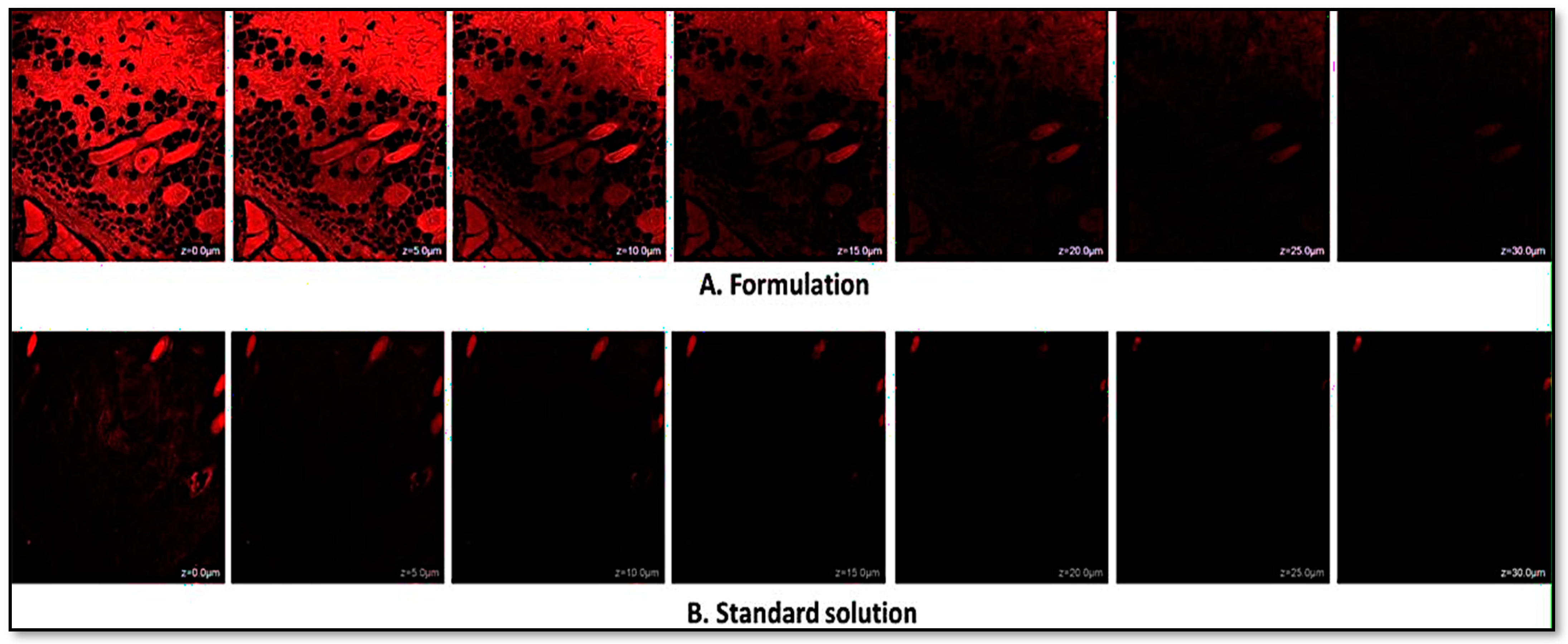 Gels 10 00303 g008 Gels 10 00303 g008