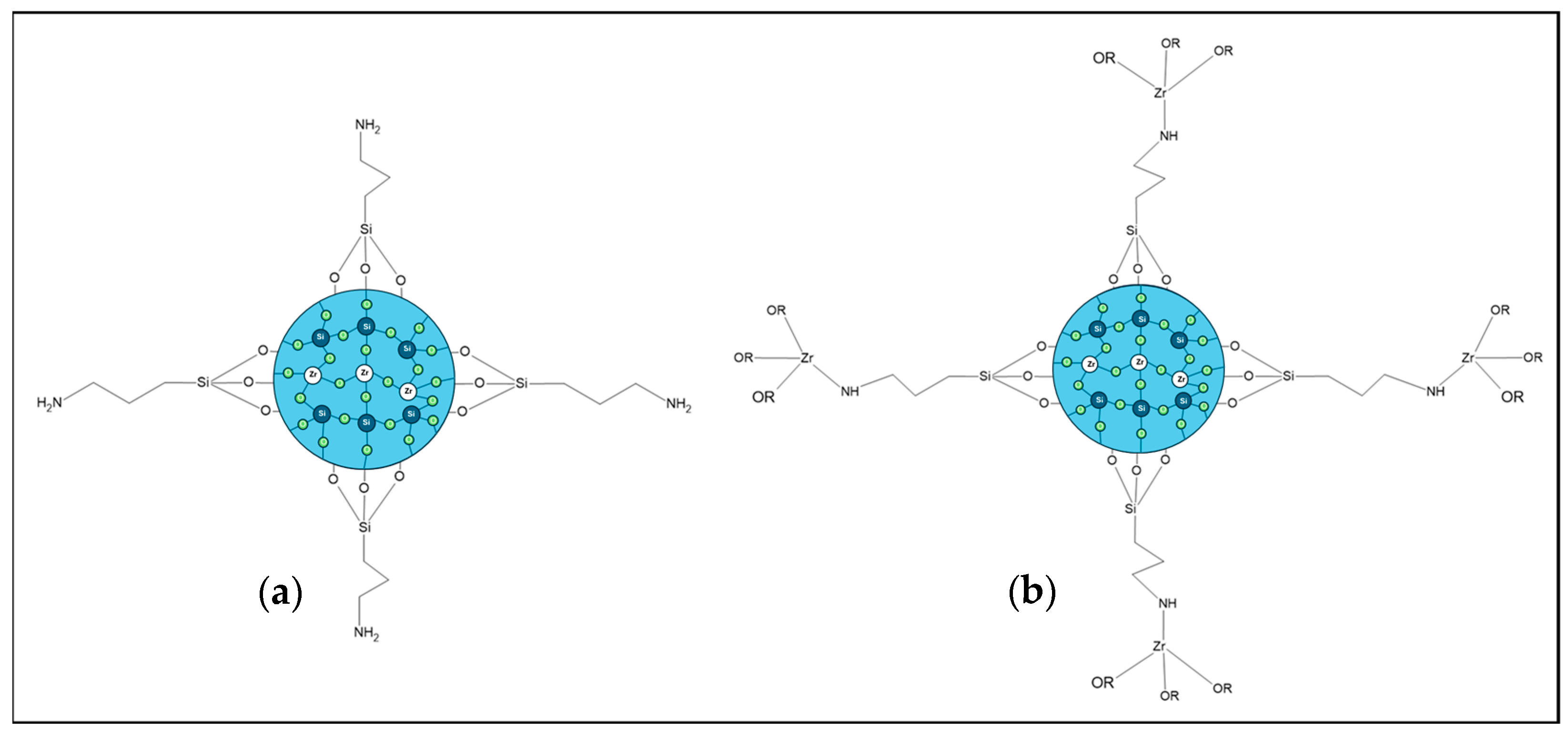 Gels 10 00315 sch003