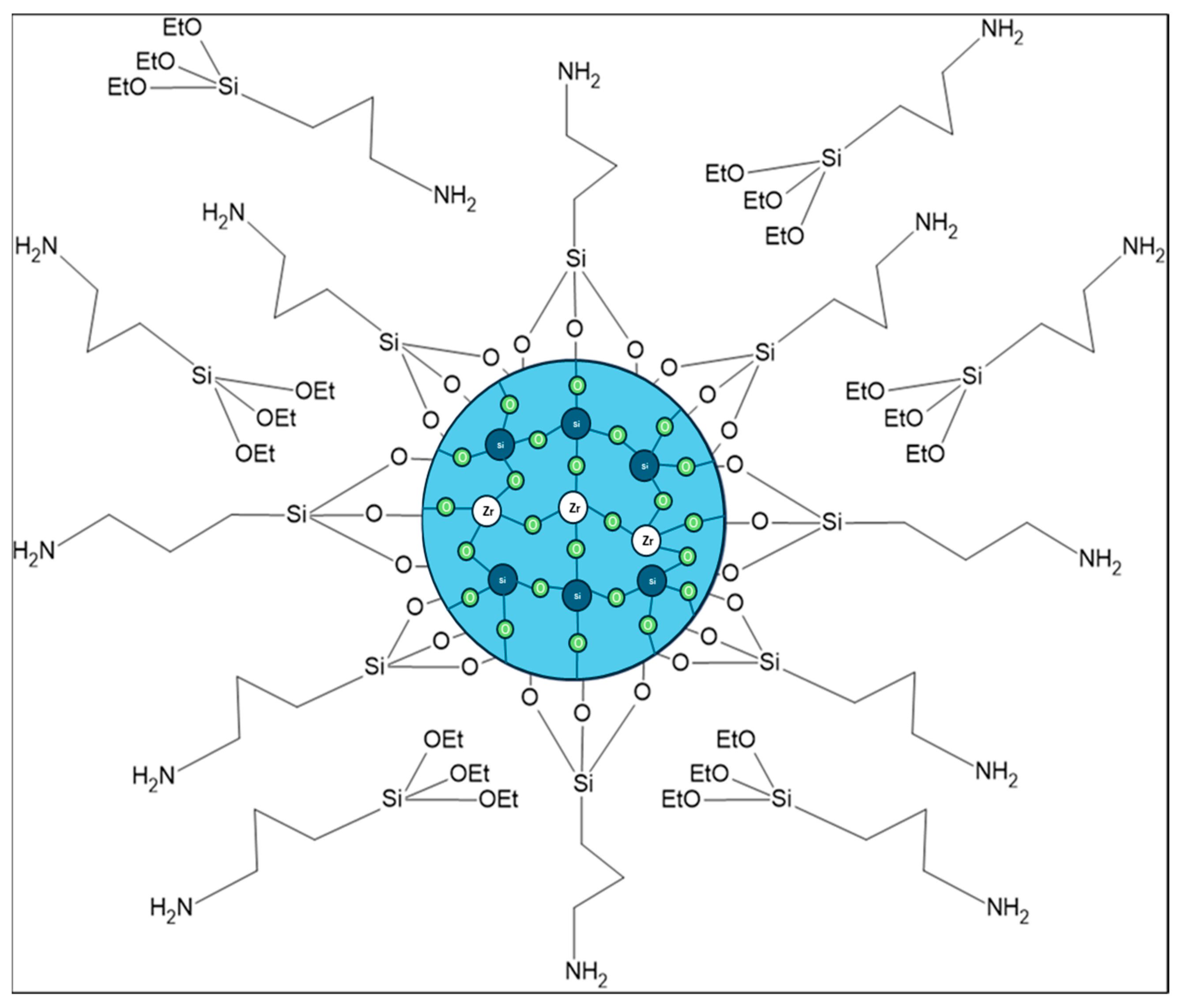 Gels 10 00315 sch005