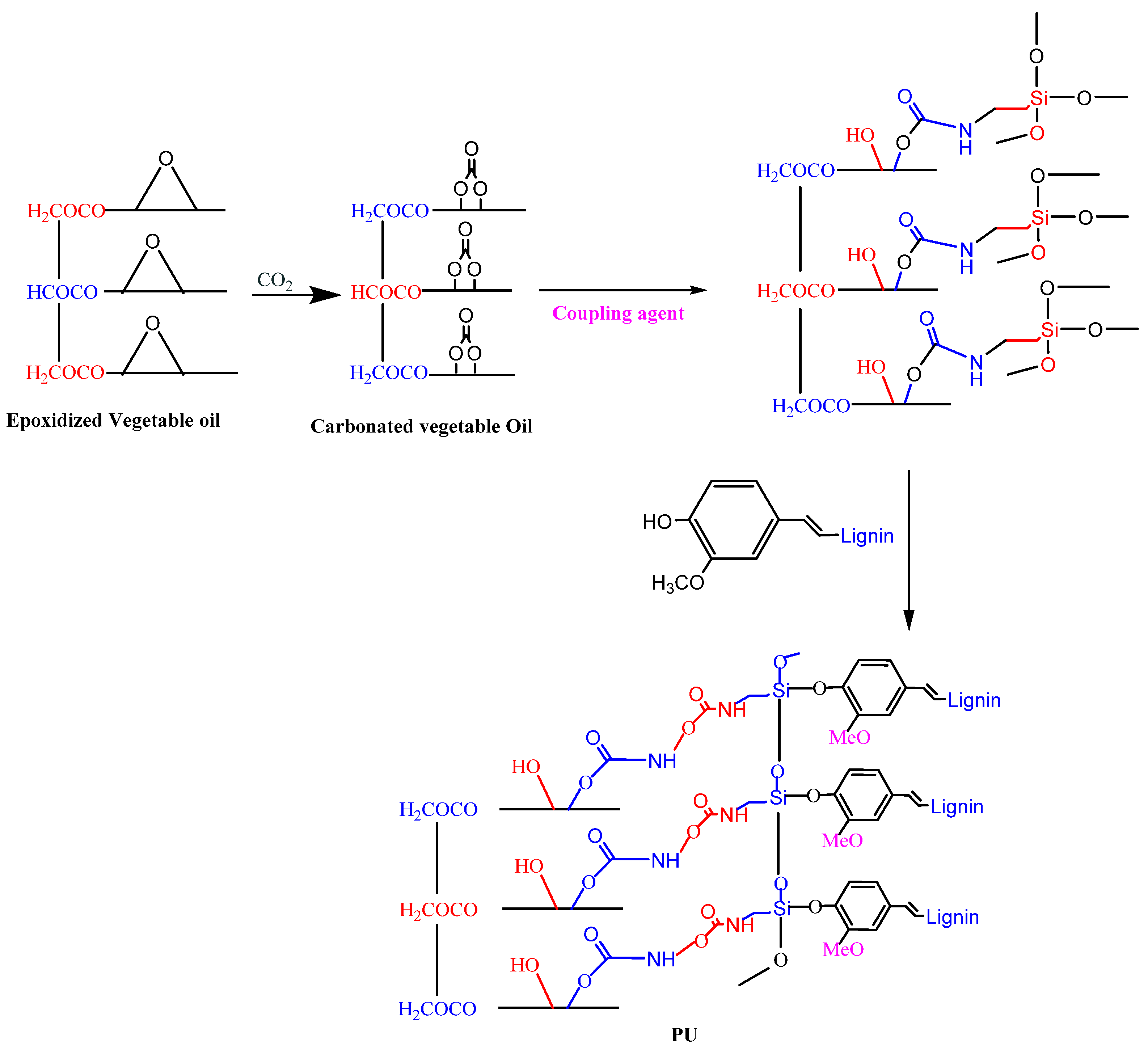 Gels 10 00338 sch003