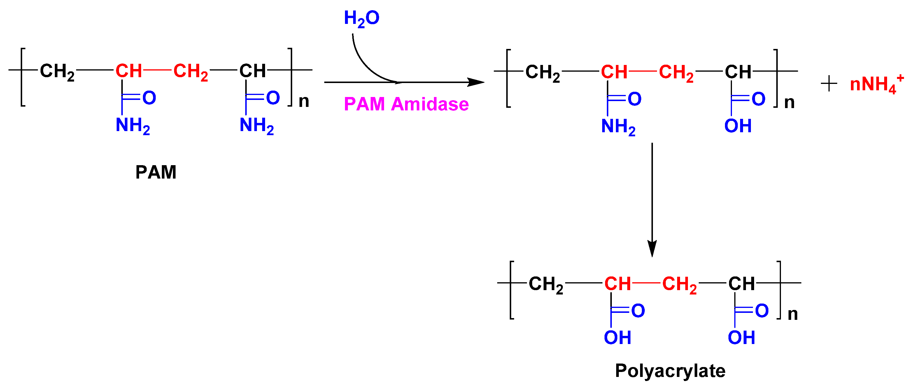 Gels 10 00338 sch010