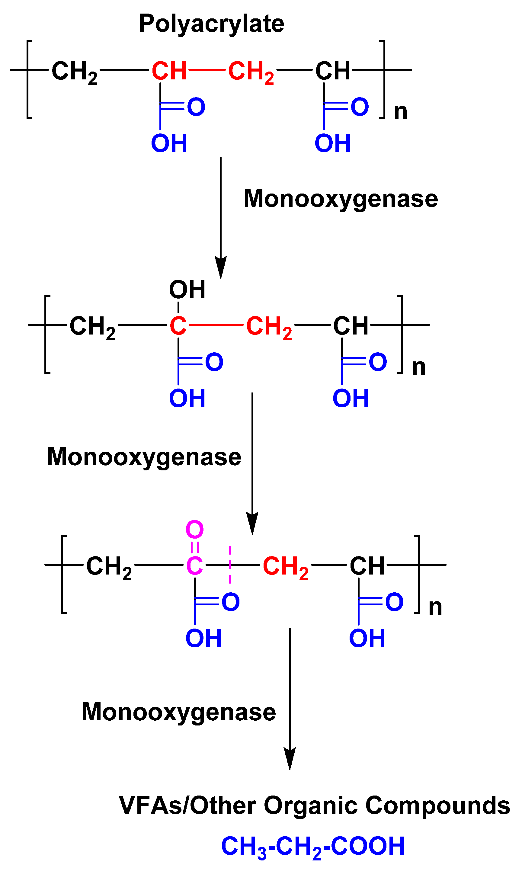 Gels 10 00338 sch011