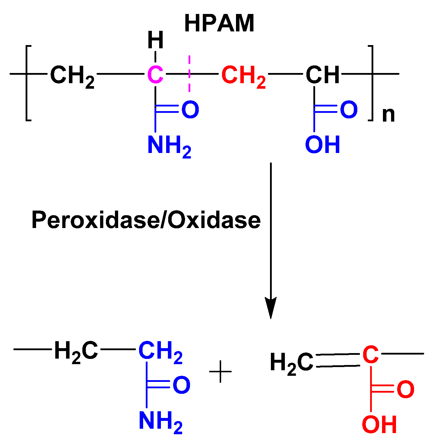 Gels 10 00338 sch012