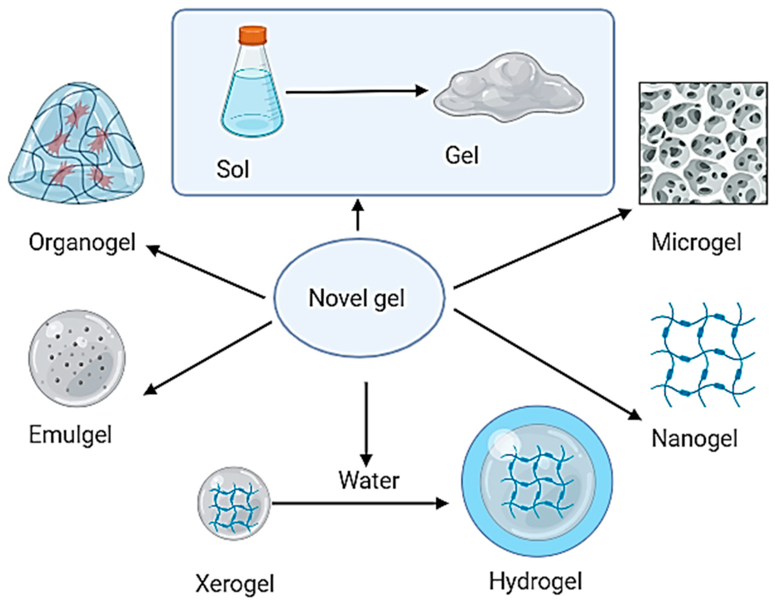 Gels 10 00342 g003 Gels 10 00342 g003
