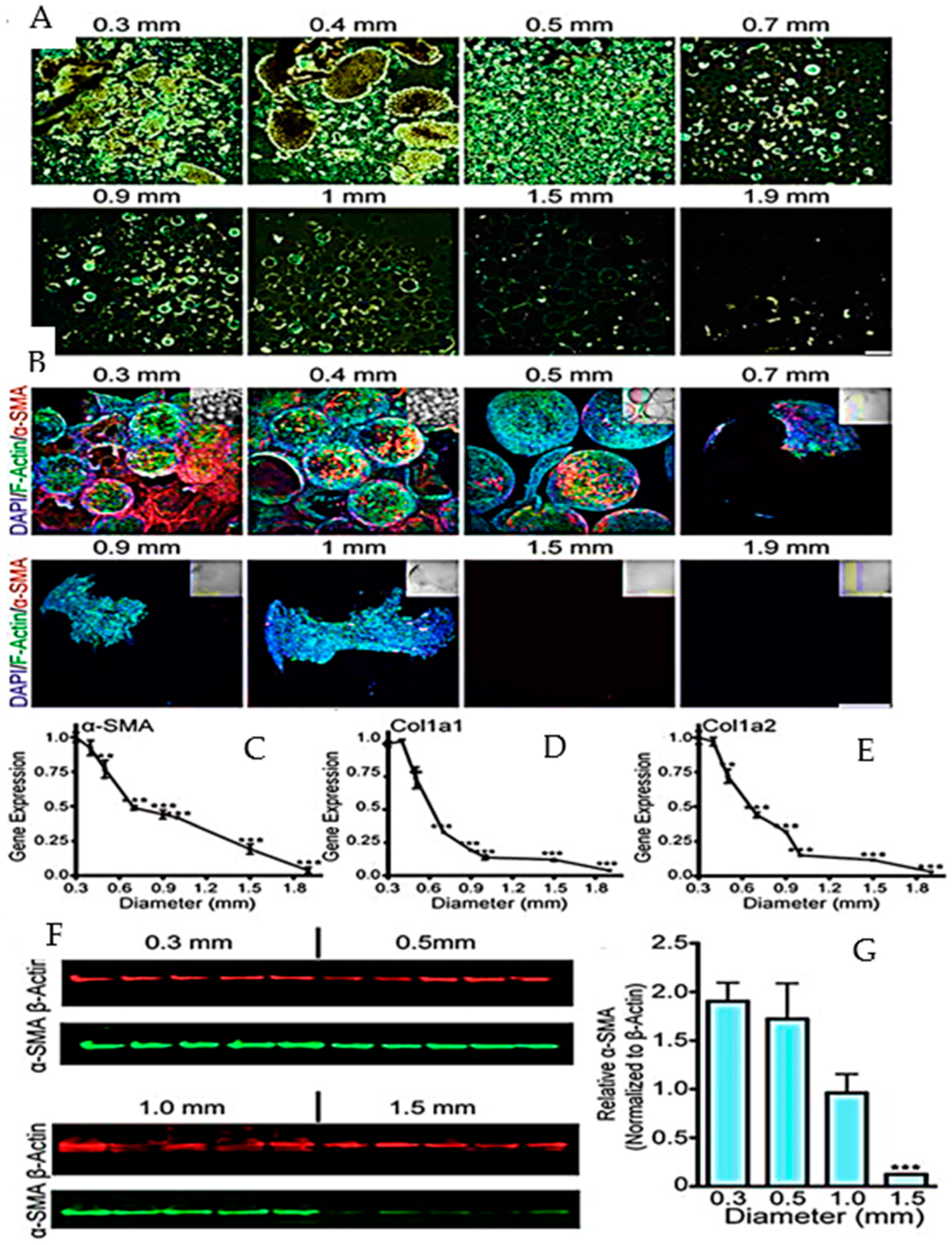 Gels 10 00342 g006 Gels 10 00342 g006