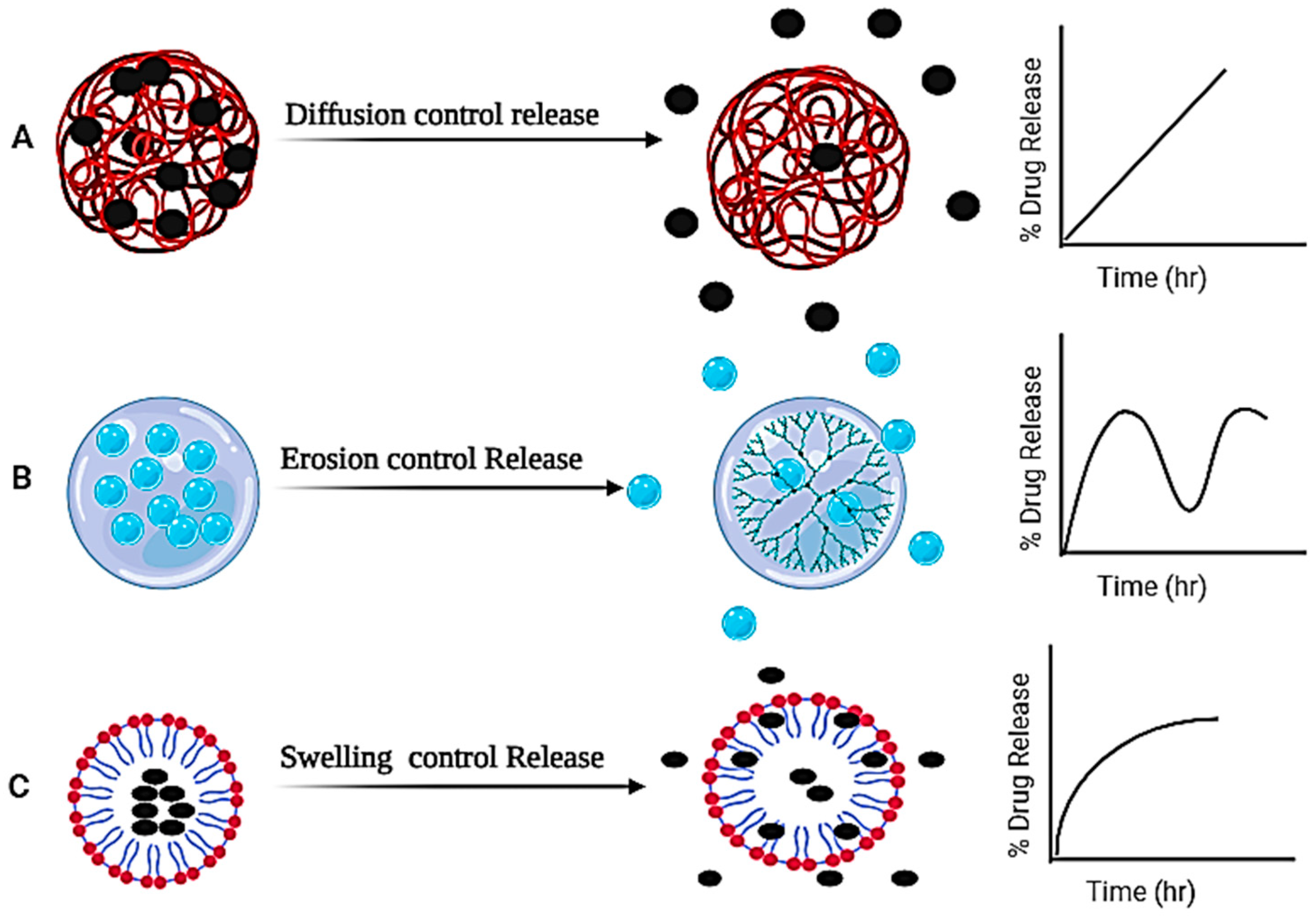 Gels 10 00342 g007 Gels 10 00342 g007