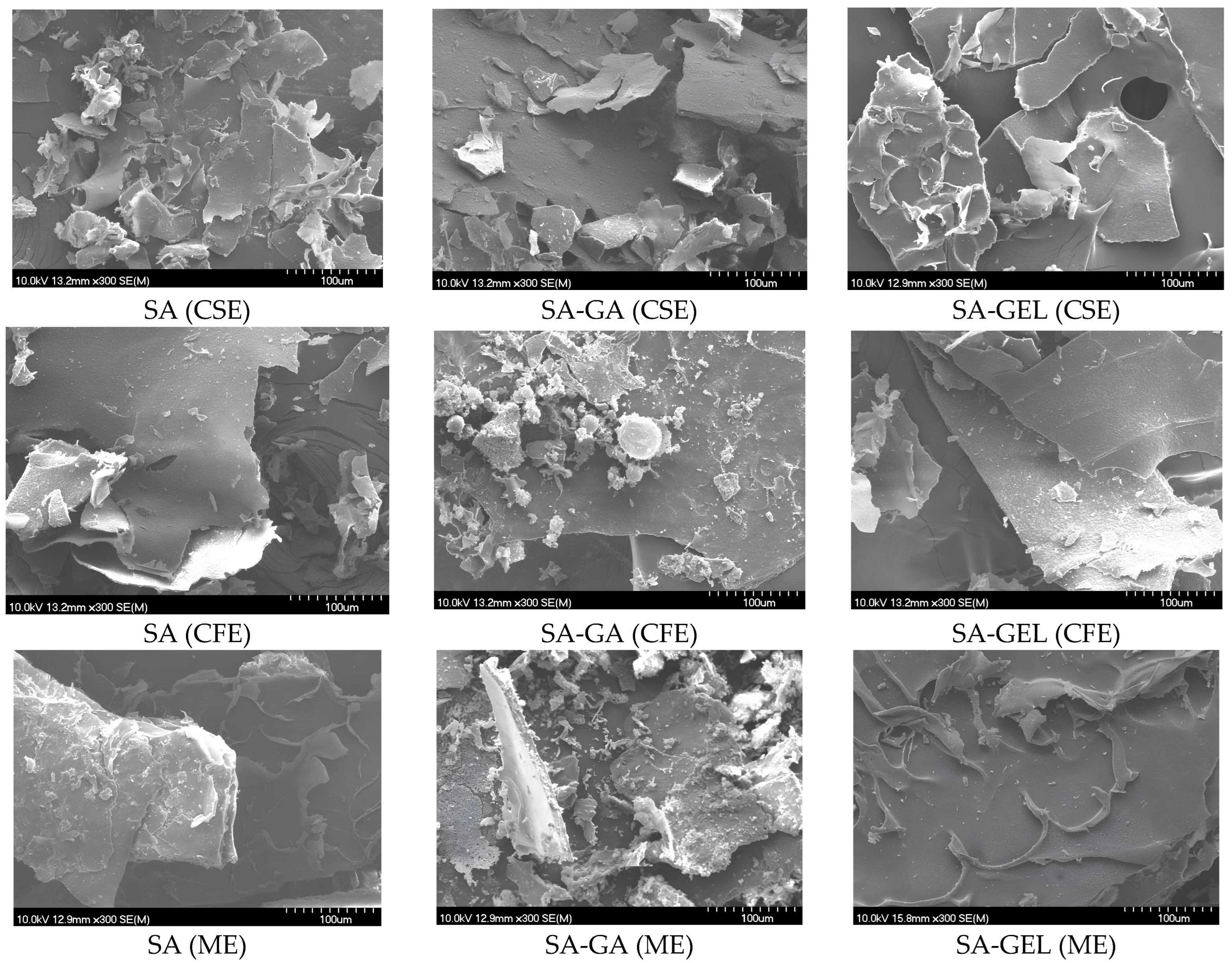Gels 10 00353 g003 Gels 10 00353 g003