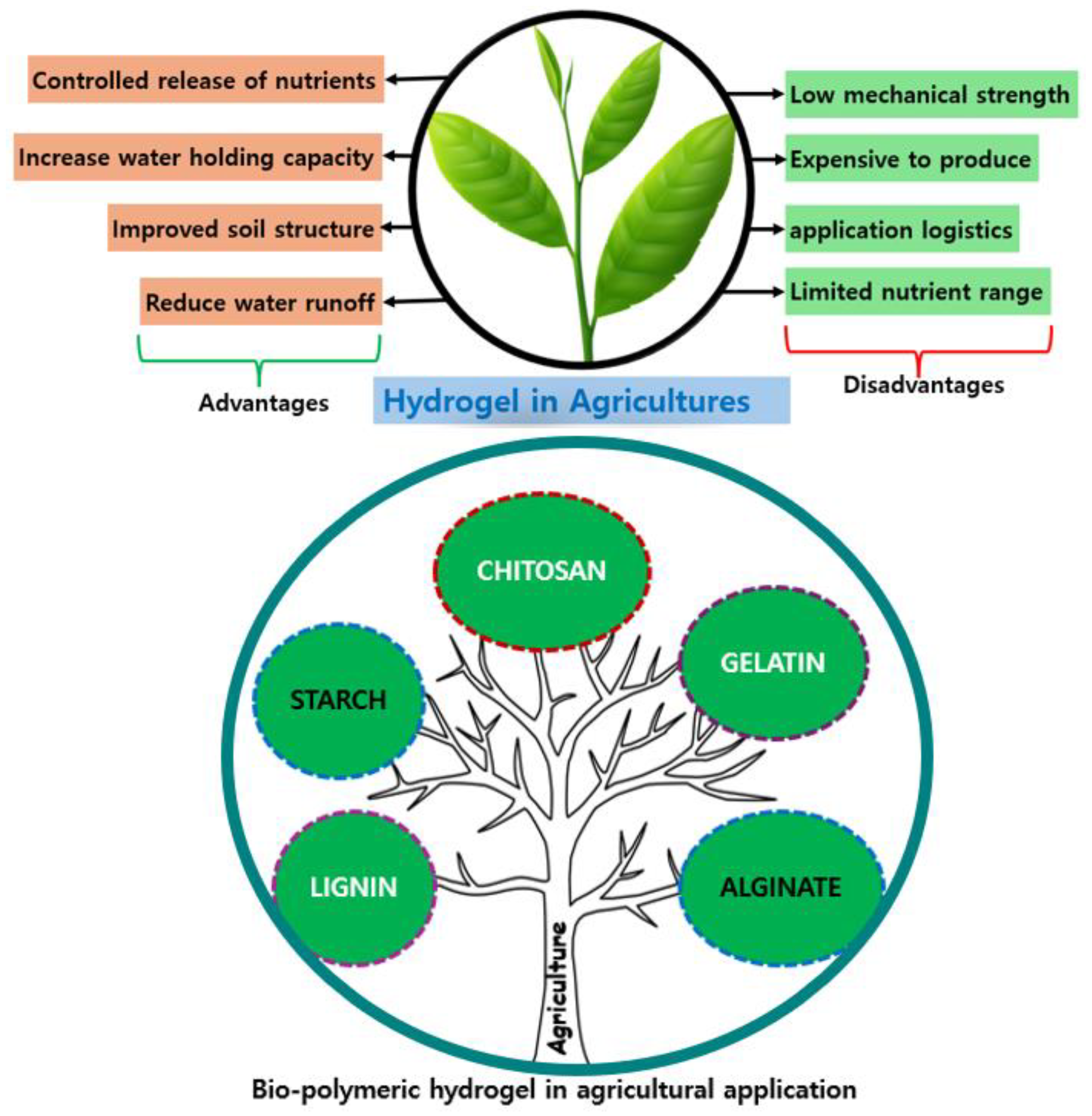 Gels 10 00381 sch001