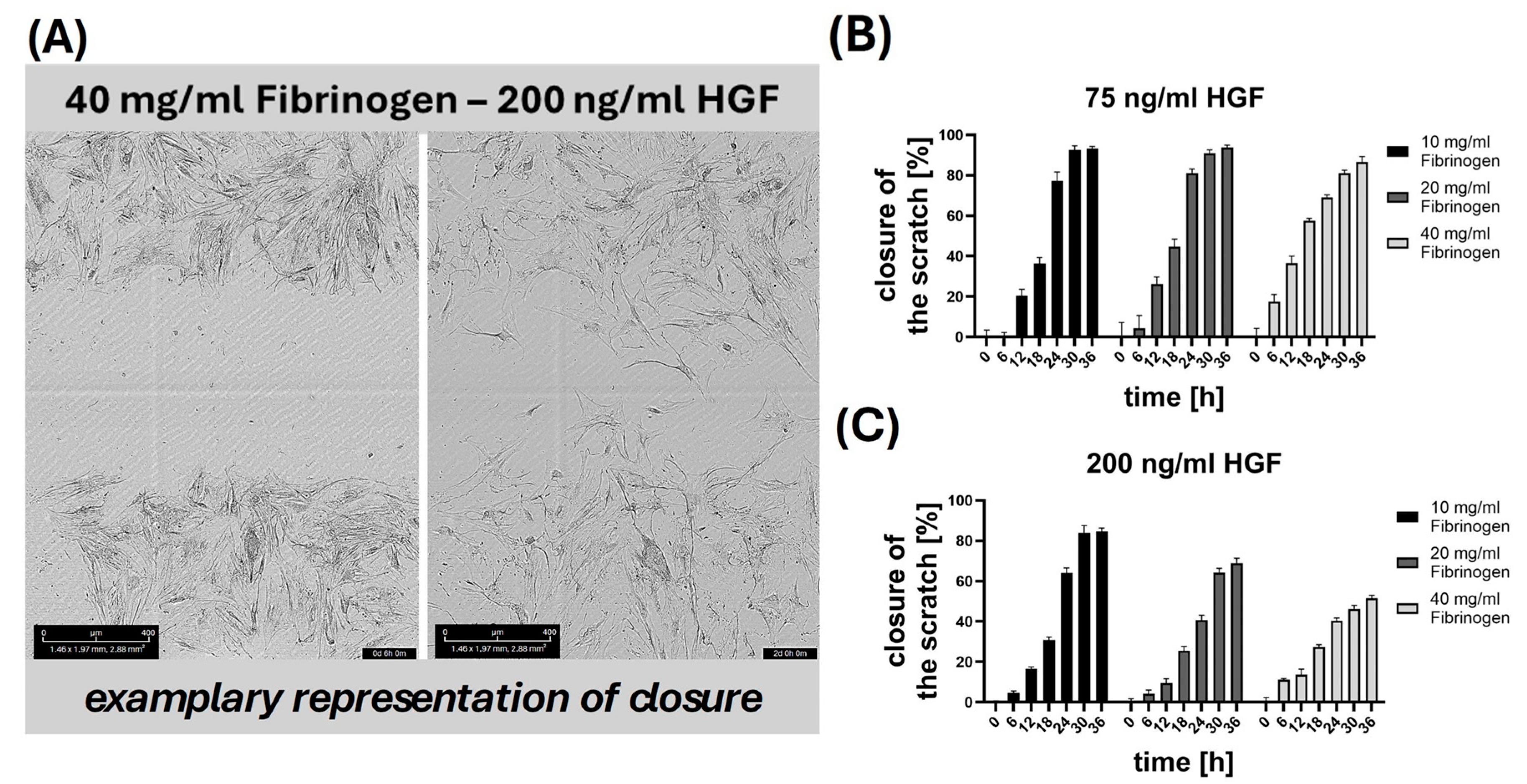Gels 10 00402 g006 Gels 10 00402 g006