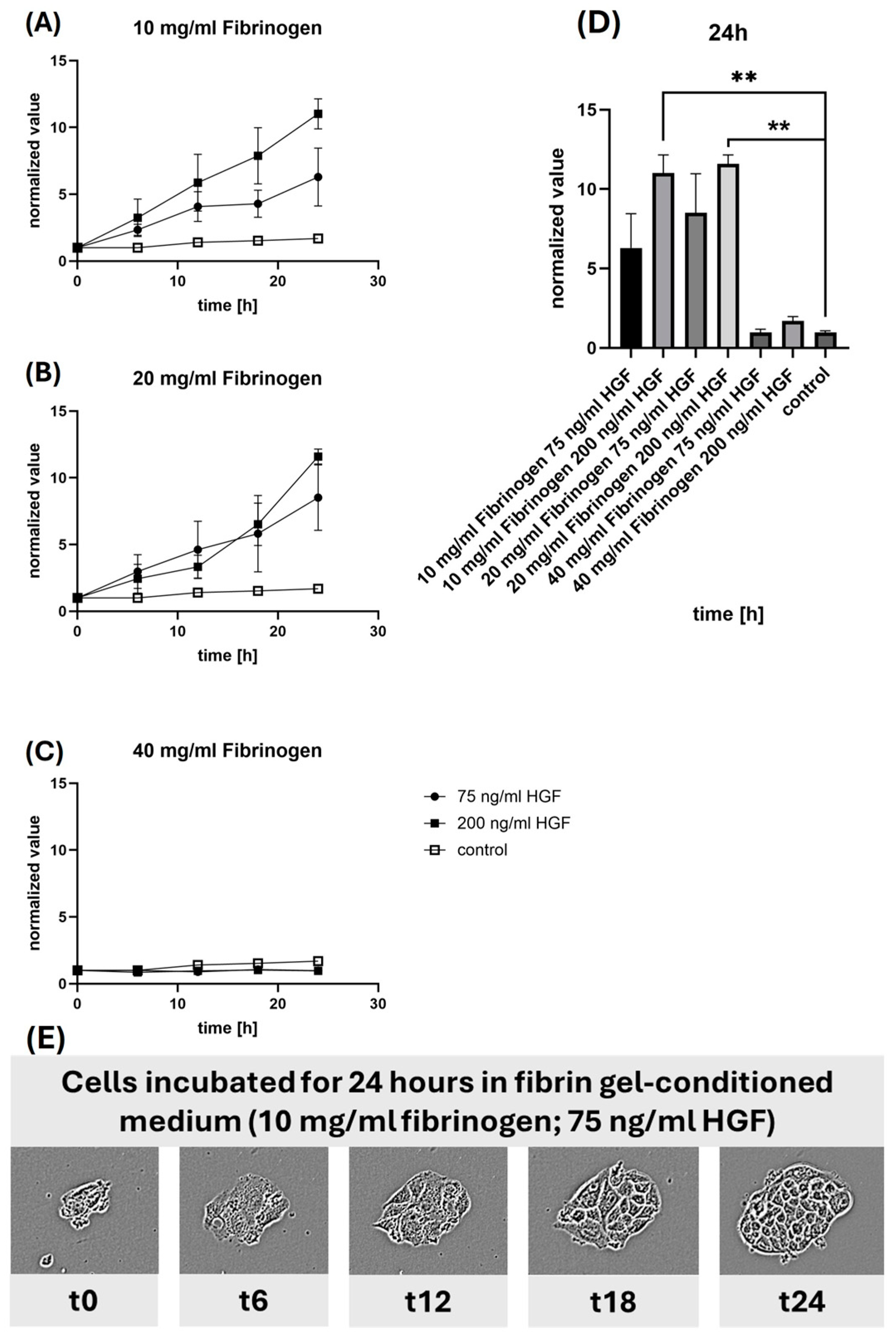 Gels 10 00402 g007 Gels 10 00402 g007