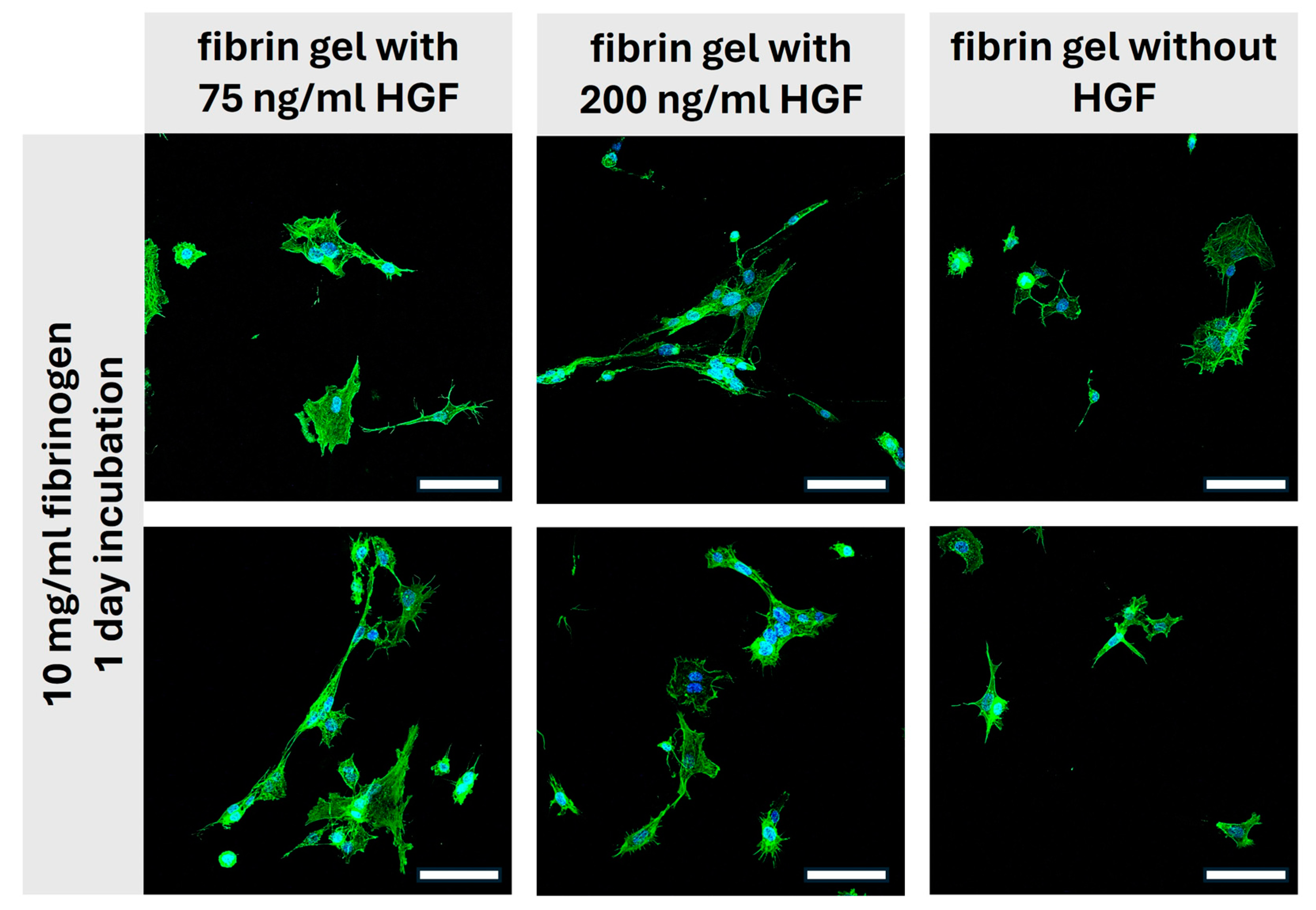 Gels 10 00402 g008 Gels 10 00402 g008