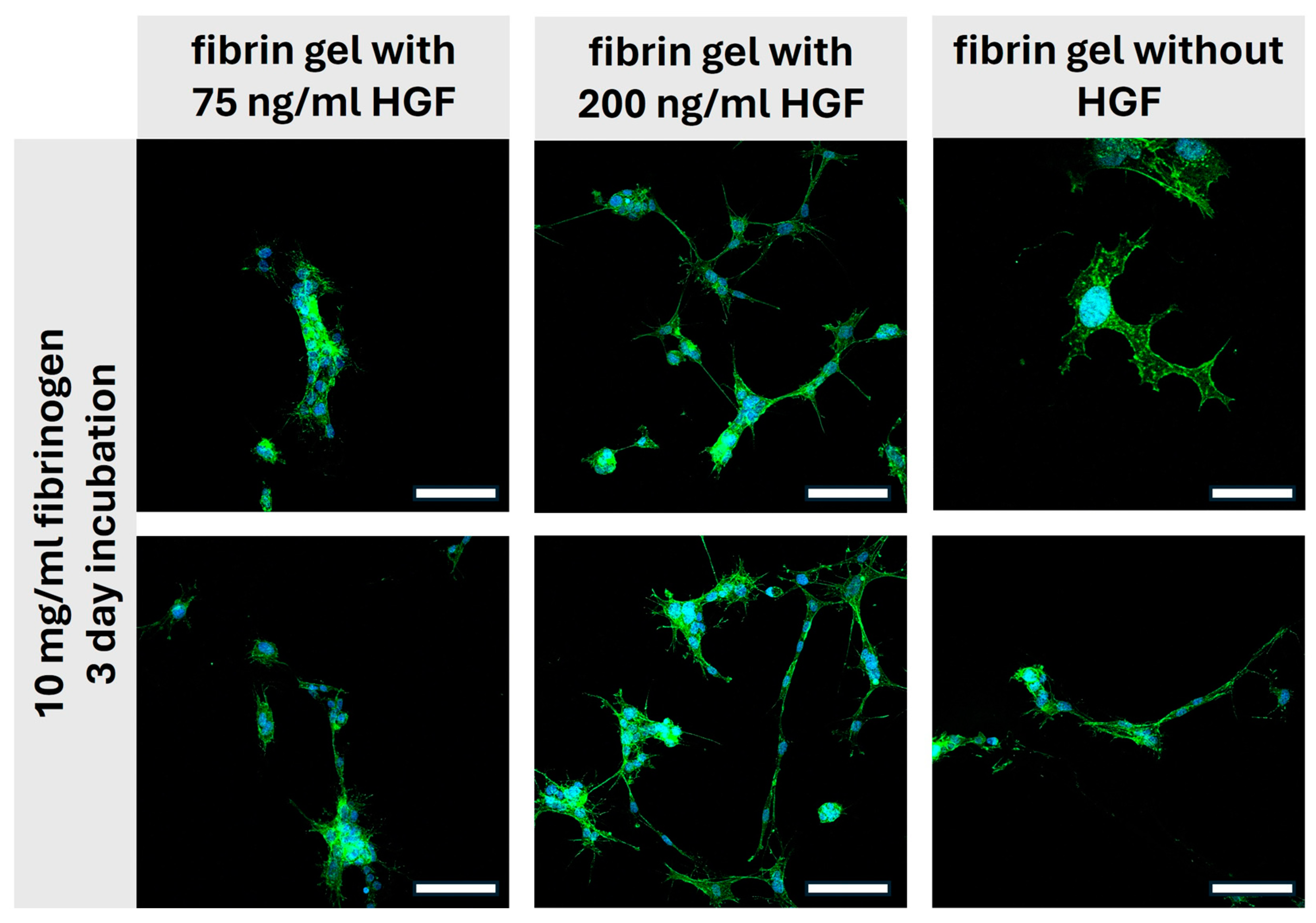 Gels 10 00402 g009 Gels 10 00402 g009