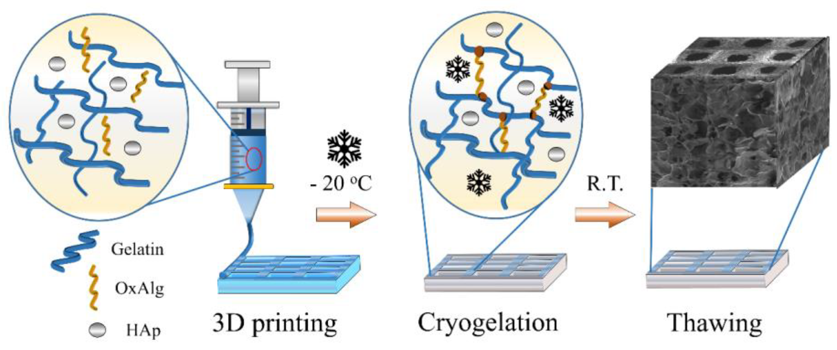 Gels 10 00406 sch001