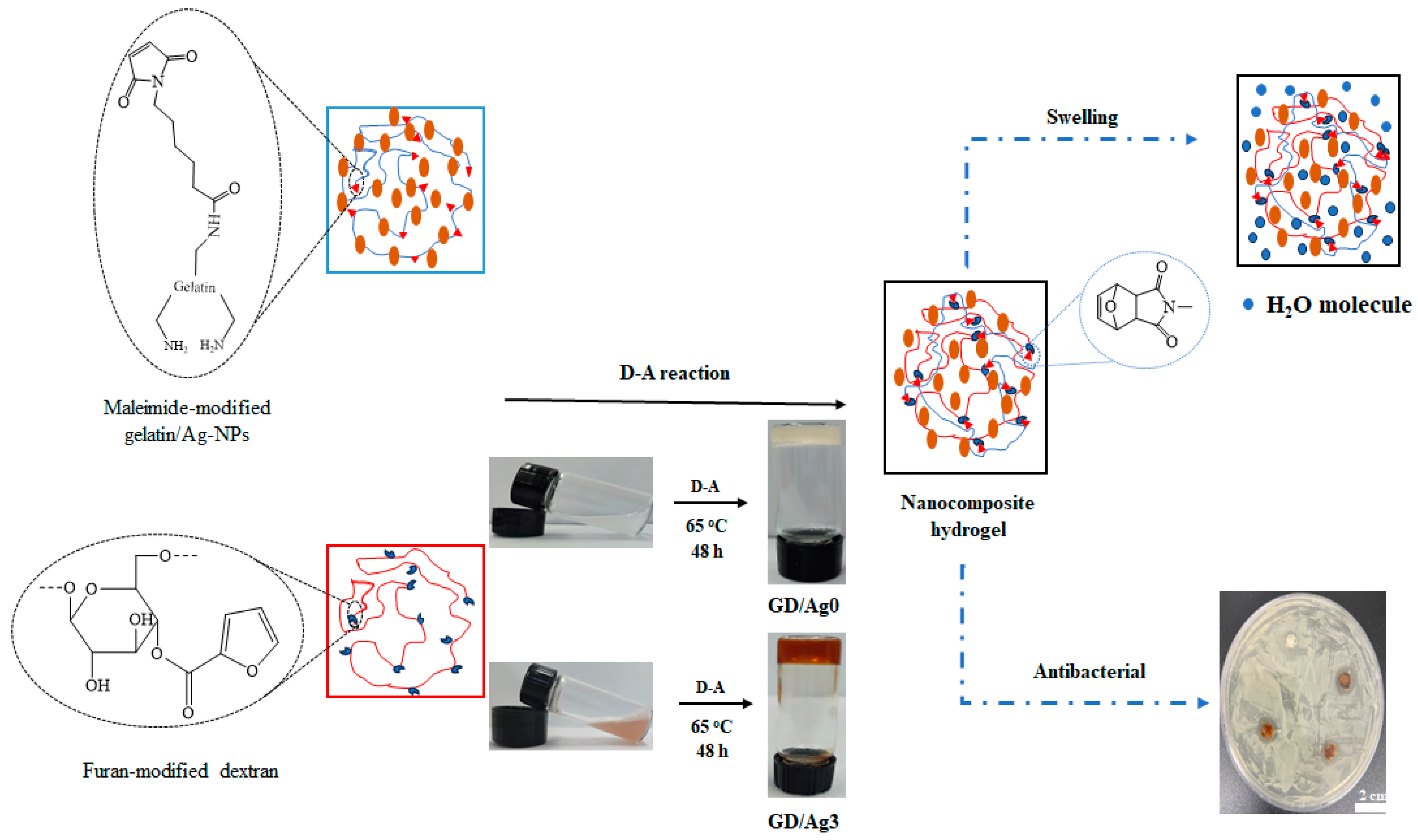 Gels 10 00408 sch001