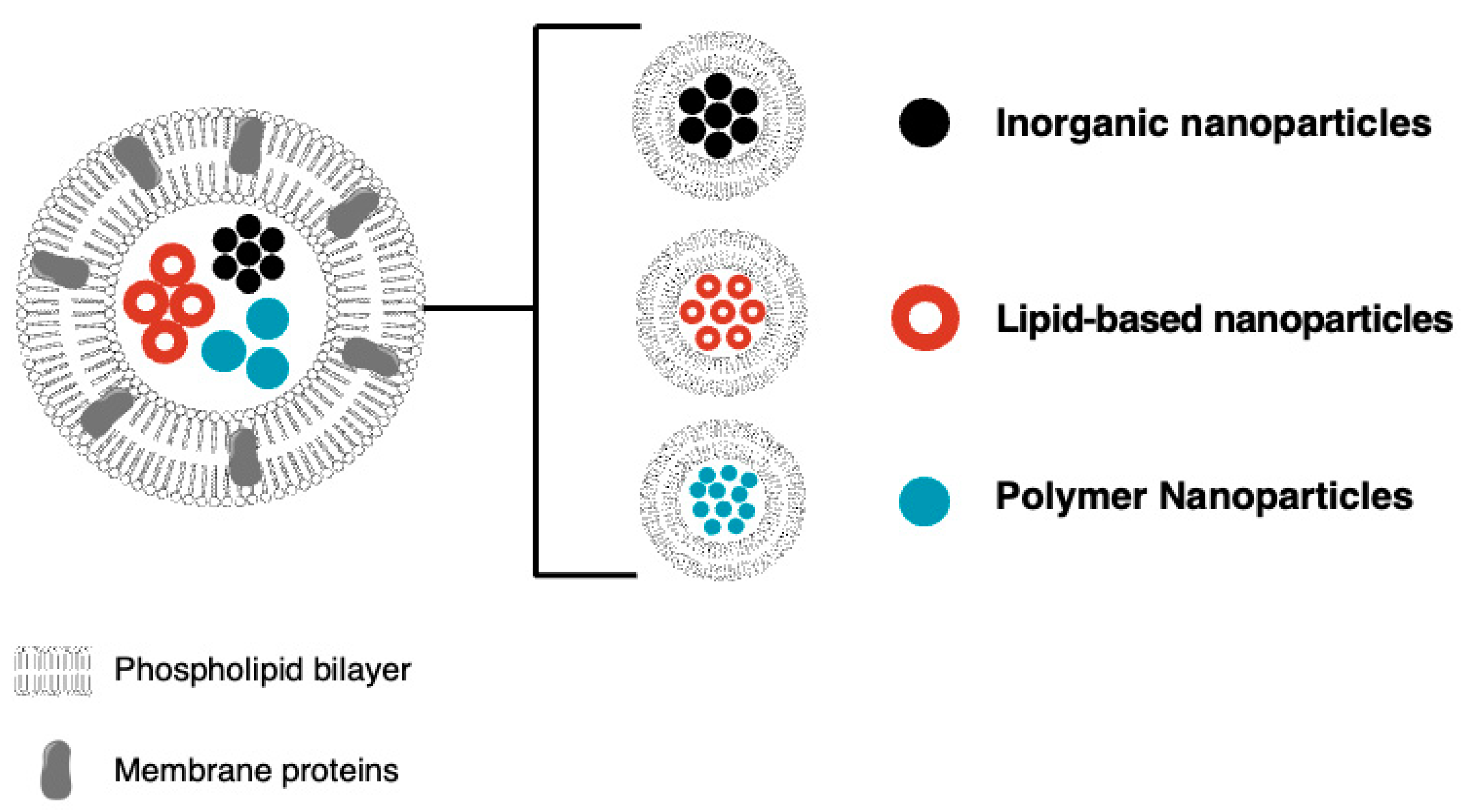 Gels 10 00437 g002 Gels 10 00437 g002