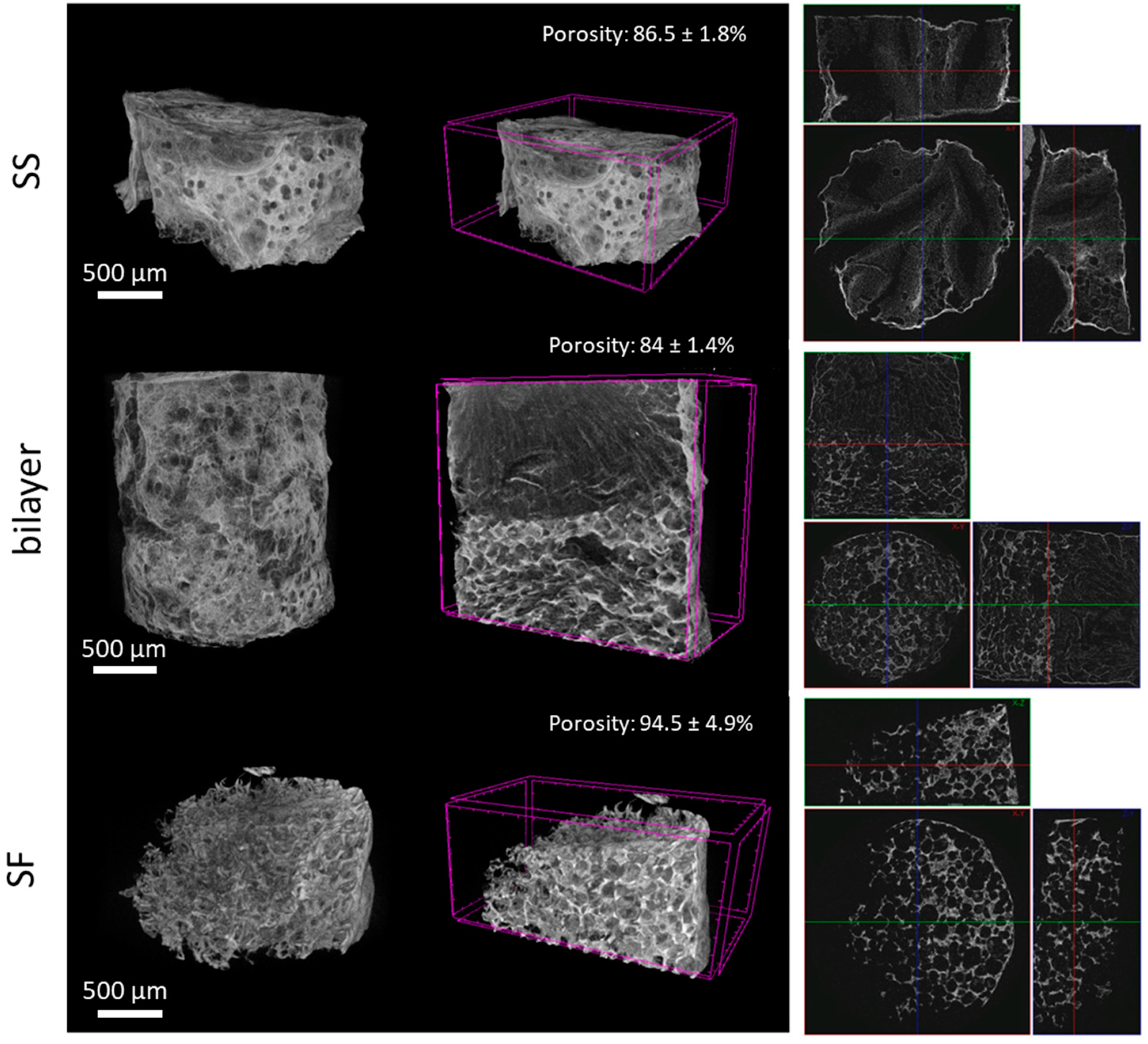 Gels 10 00439 g002 Gels 10 00439 g002
