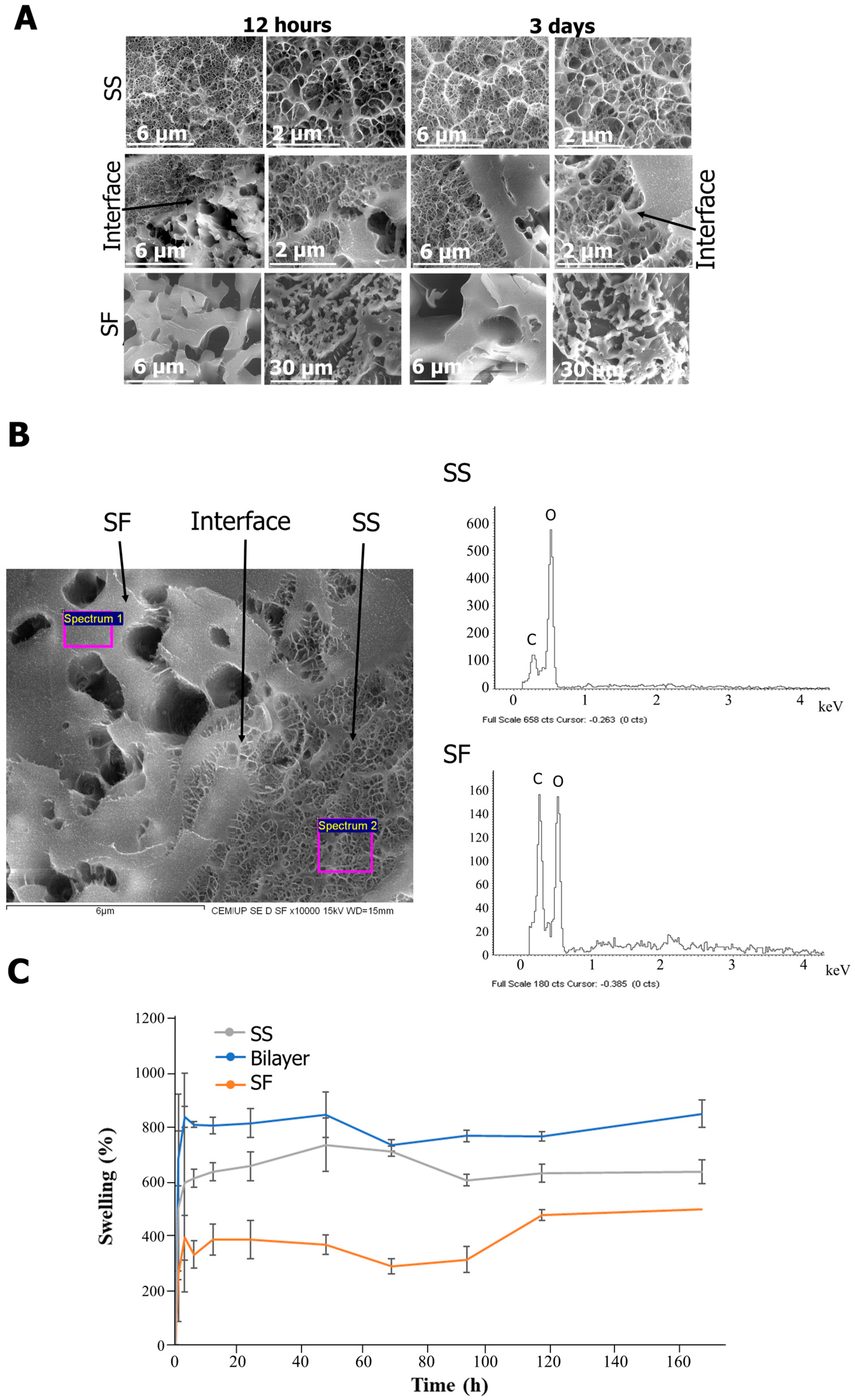 Gels 10 00439 g003 Gels 10 00439 g003